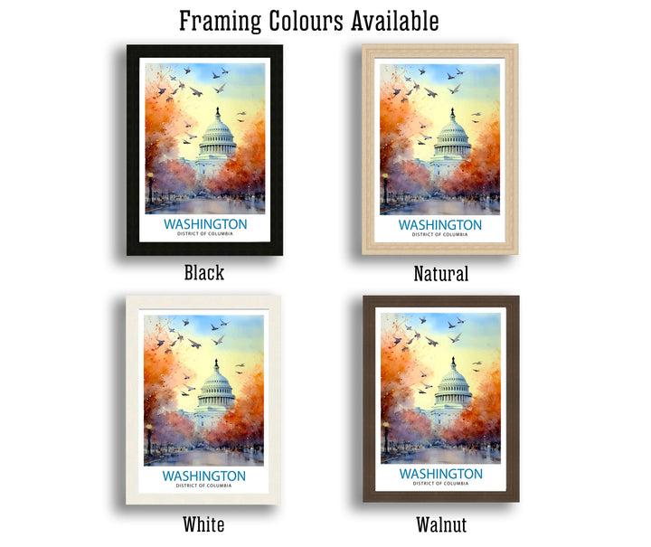 Washington DC Travel Poster