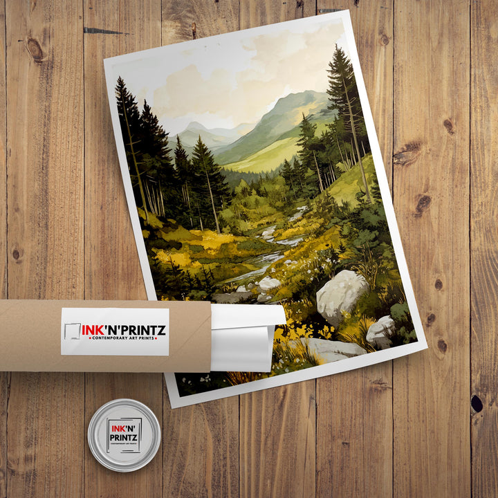 Coed y Brenin Forest Travel Poster