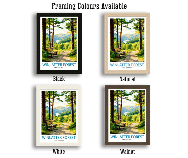 Whinlatter Forest Travel Poster