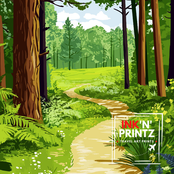 Hamsterley Forest Travel Poster