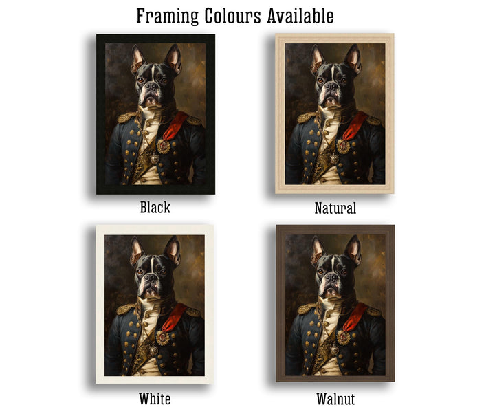 Boston Terrier Portrait Poster Regal Pet Art Vintage Animal Illustration Humorous Wall Decor Dog Lover Gift