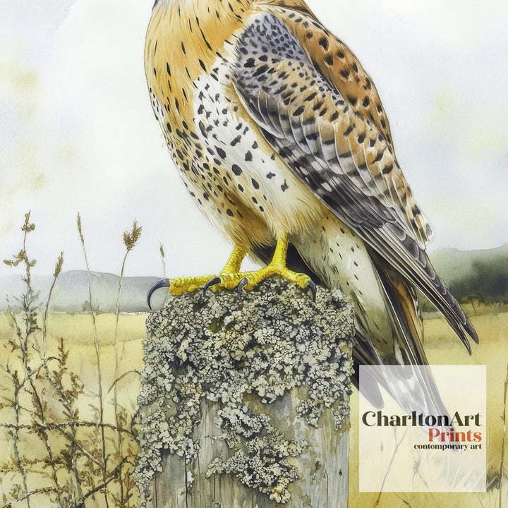 Kestrel Perched on a Fence Watercolour Poster Cottagecore Decor Nature Art Vintage Wildlife Illustration Rustic Countryside Wall Art