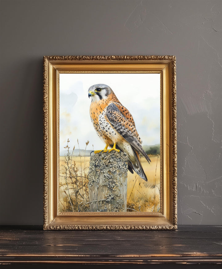Kestrel Perched on a Fence Watercolour Poster Cottagecore Decor Nature Art Vintage Wildlife Illustration Rustic Countryside Wall Art