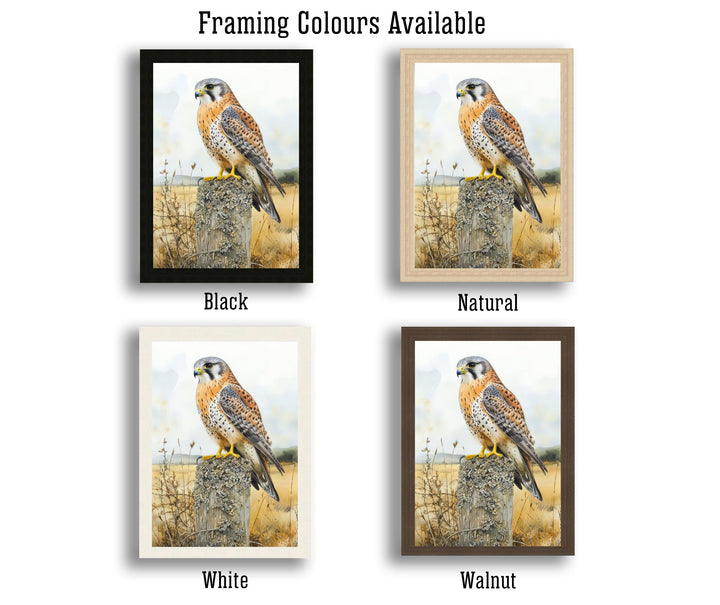 Kestrel Perched on a Fence Watercolour Poster Cottagecore Decor Nature Art Vintage Wildlife Illustration Rustic Countryside Wall Art