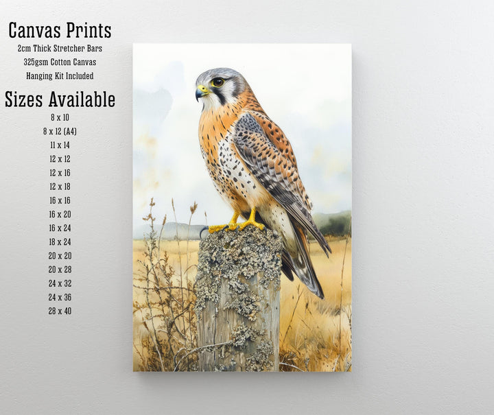 Kestrel Perched on a Fence Watercolour Poster Cottagecore Decor Nature Art Vintage Wildlife Illustration Rustic Countryside Wall Art