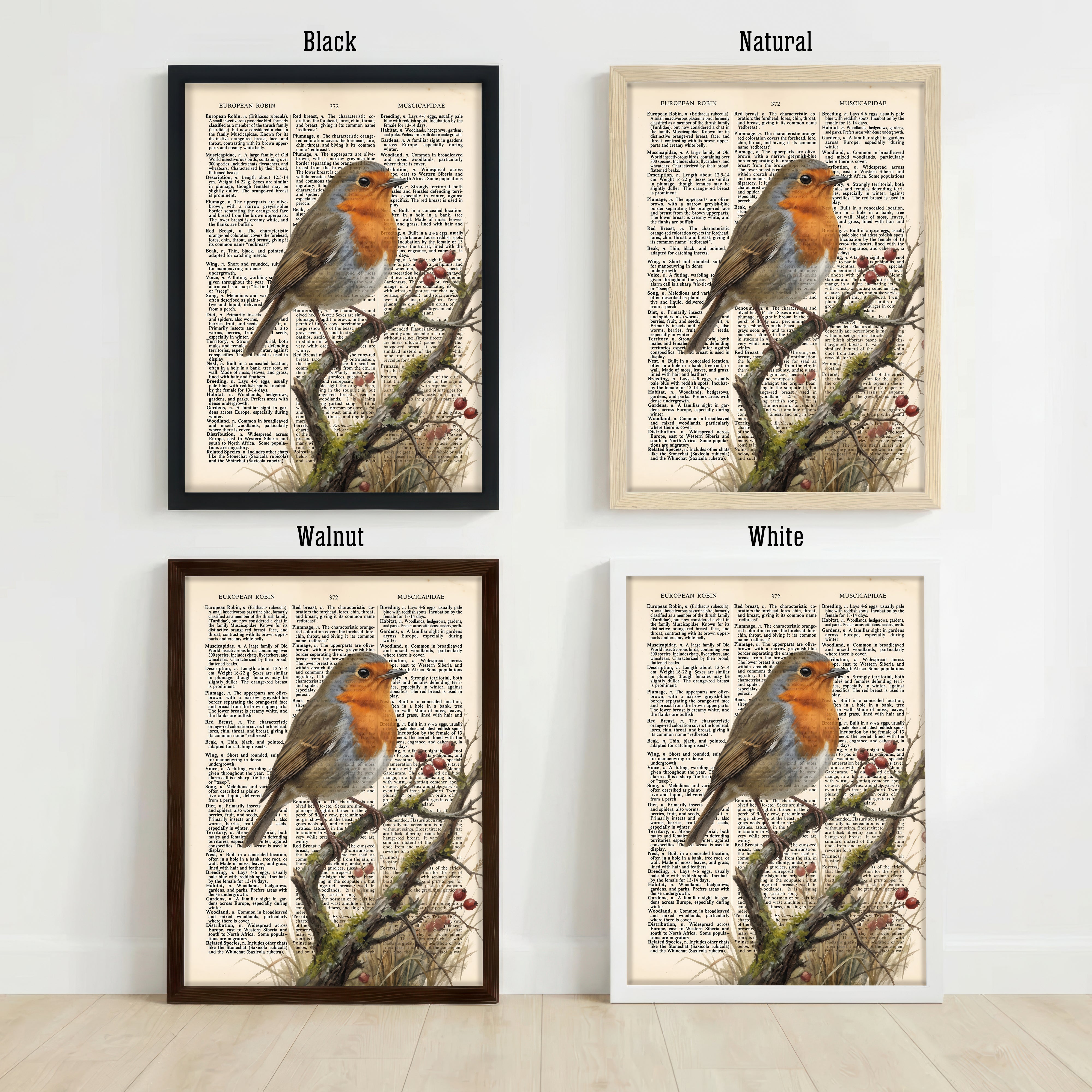 European Robin Vintage Dictionary Art Print