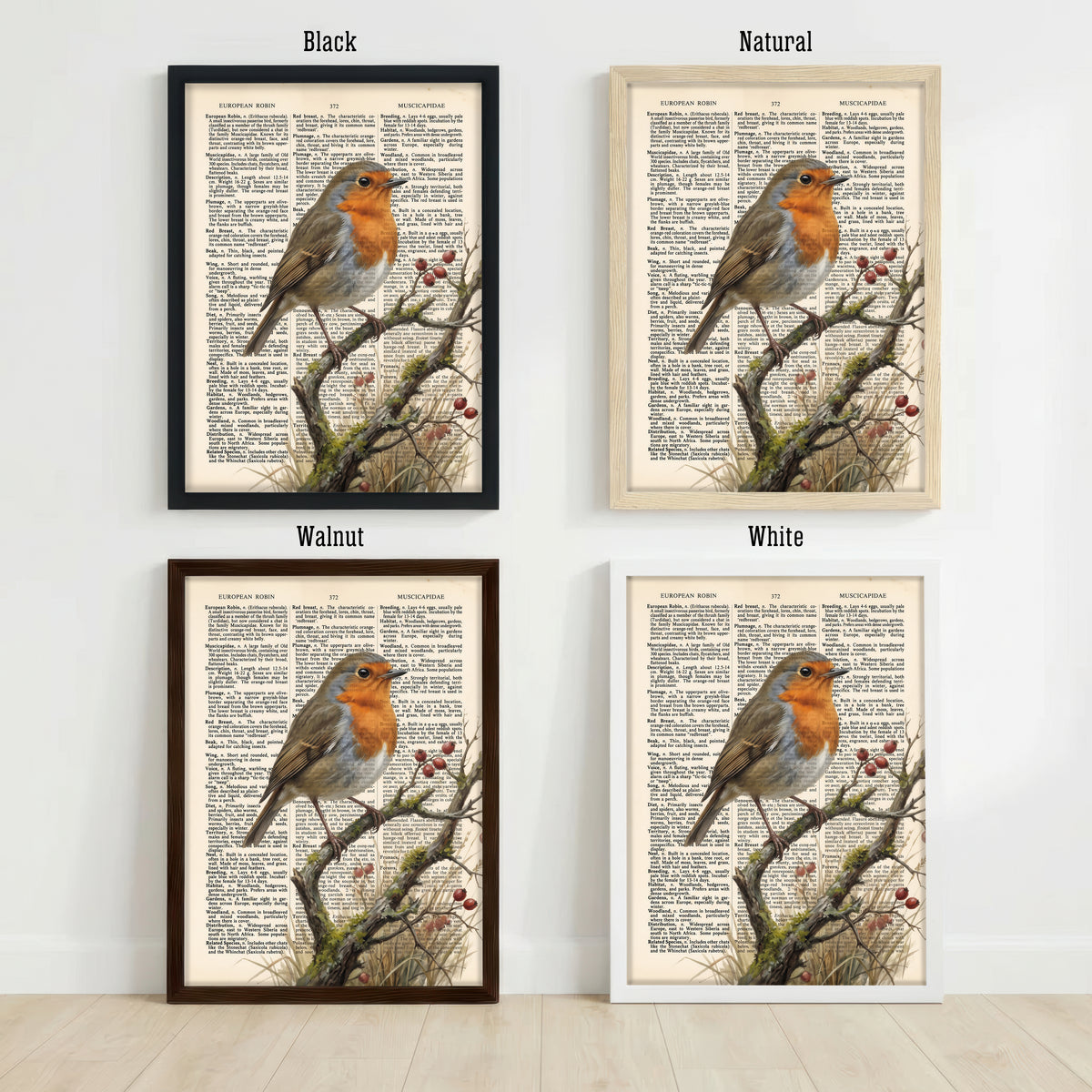 European Robin Vintage Dictionary Art Print