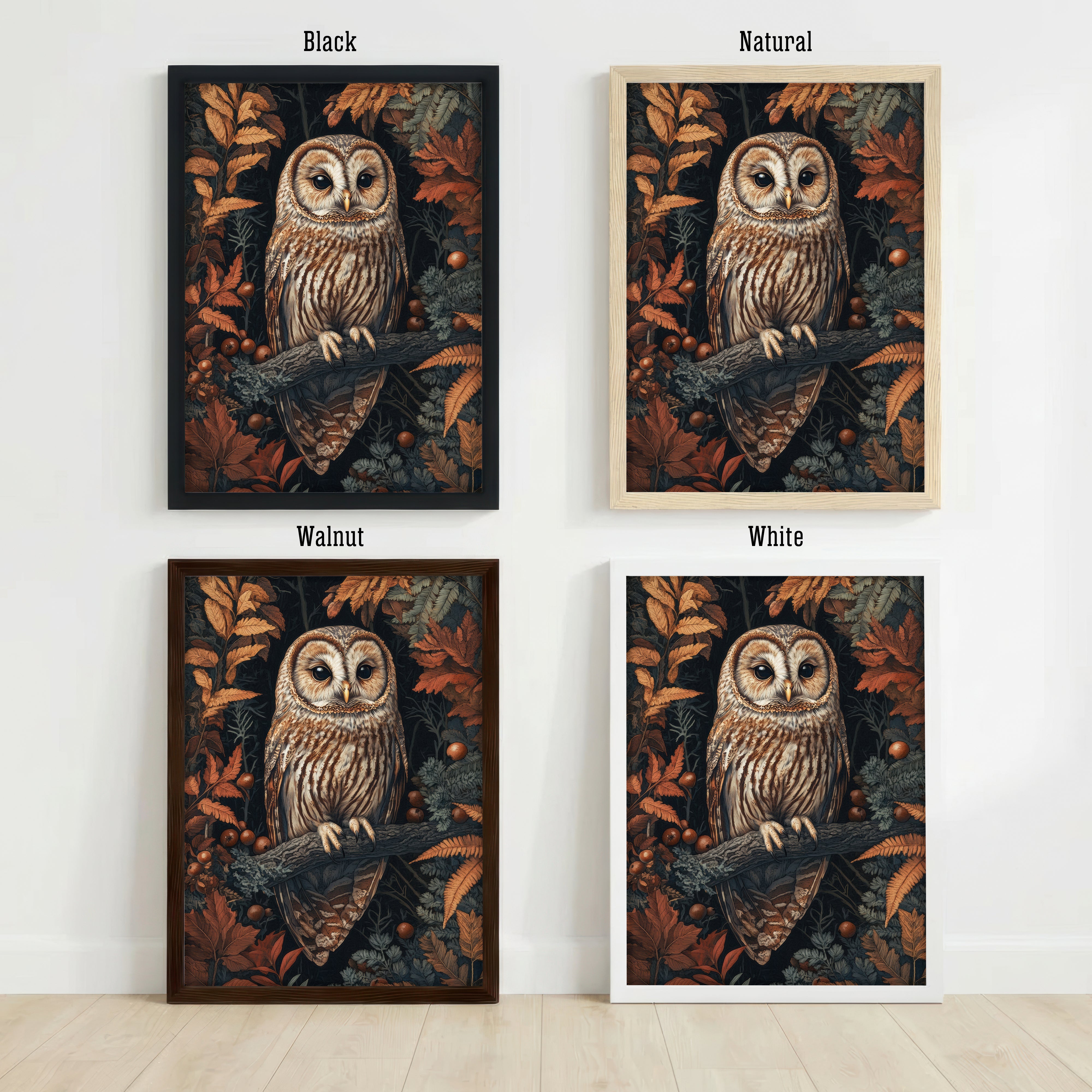 Barn Owl Autumn Forest Art Print