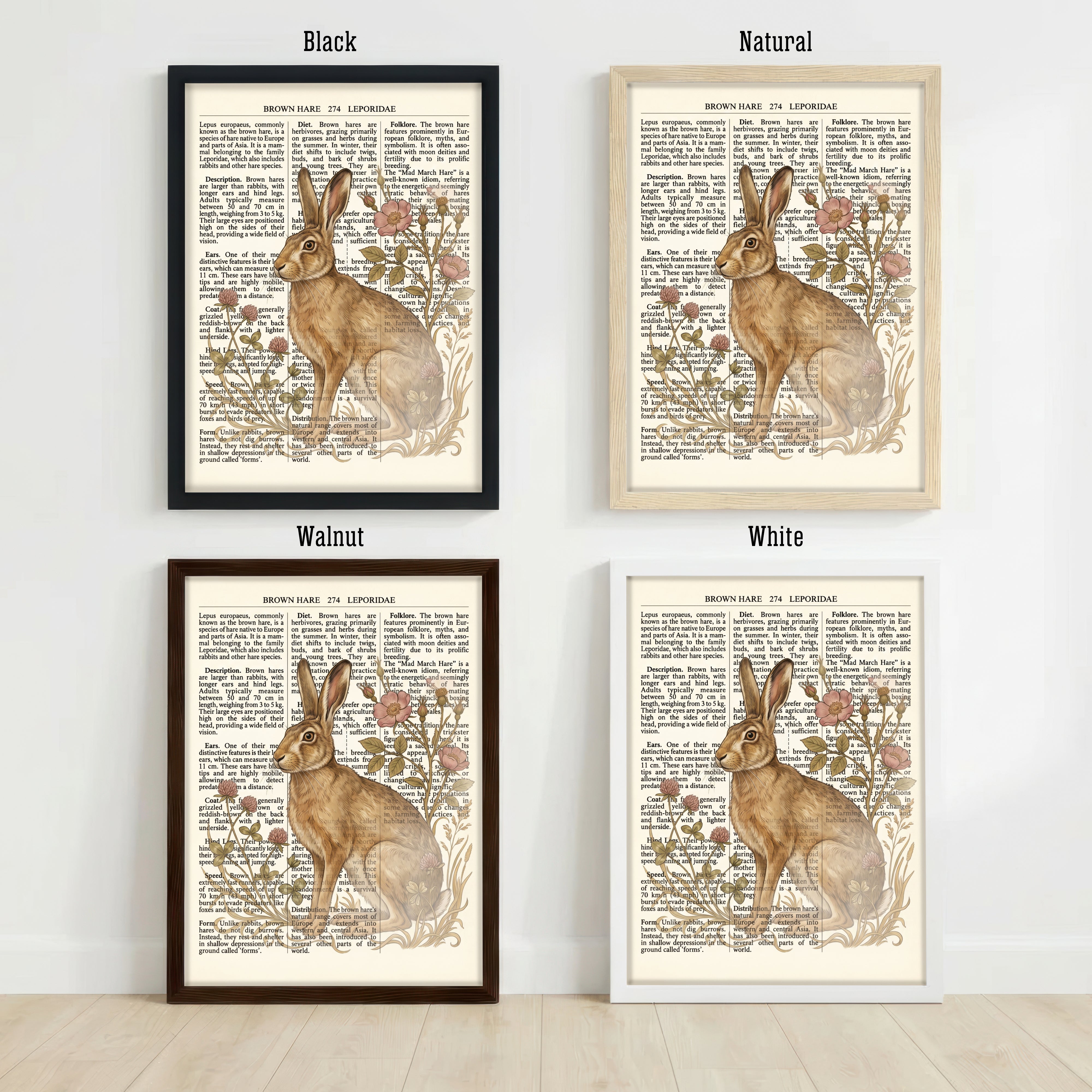 Brown Hare Botanical Art Print