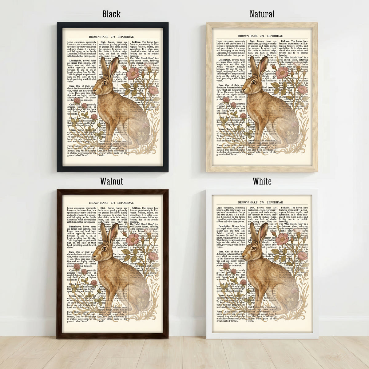 Brown Hare Botanical Art Print