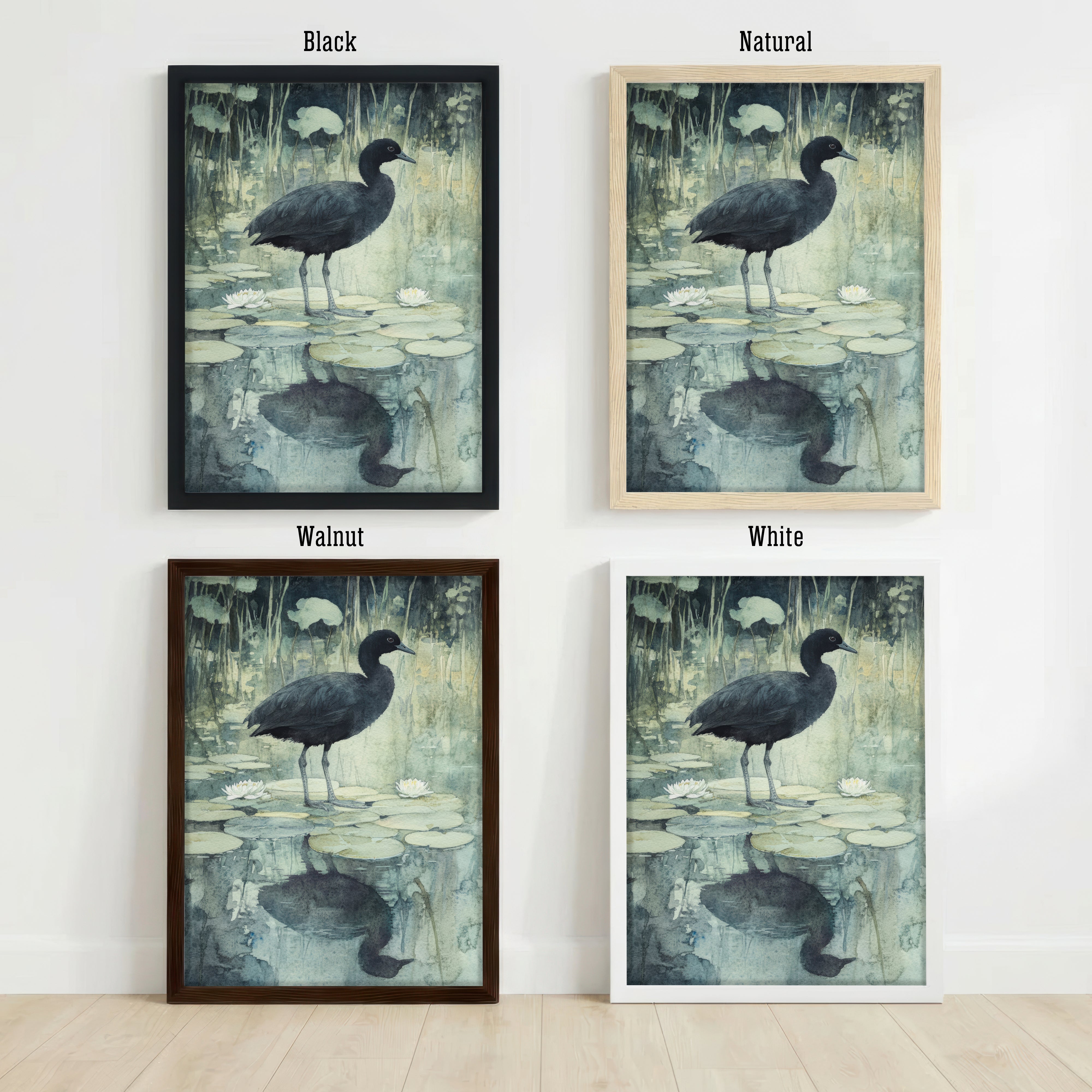 Coot Watercolour Pond Art Print