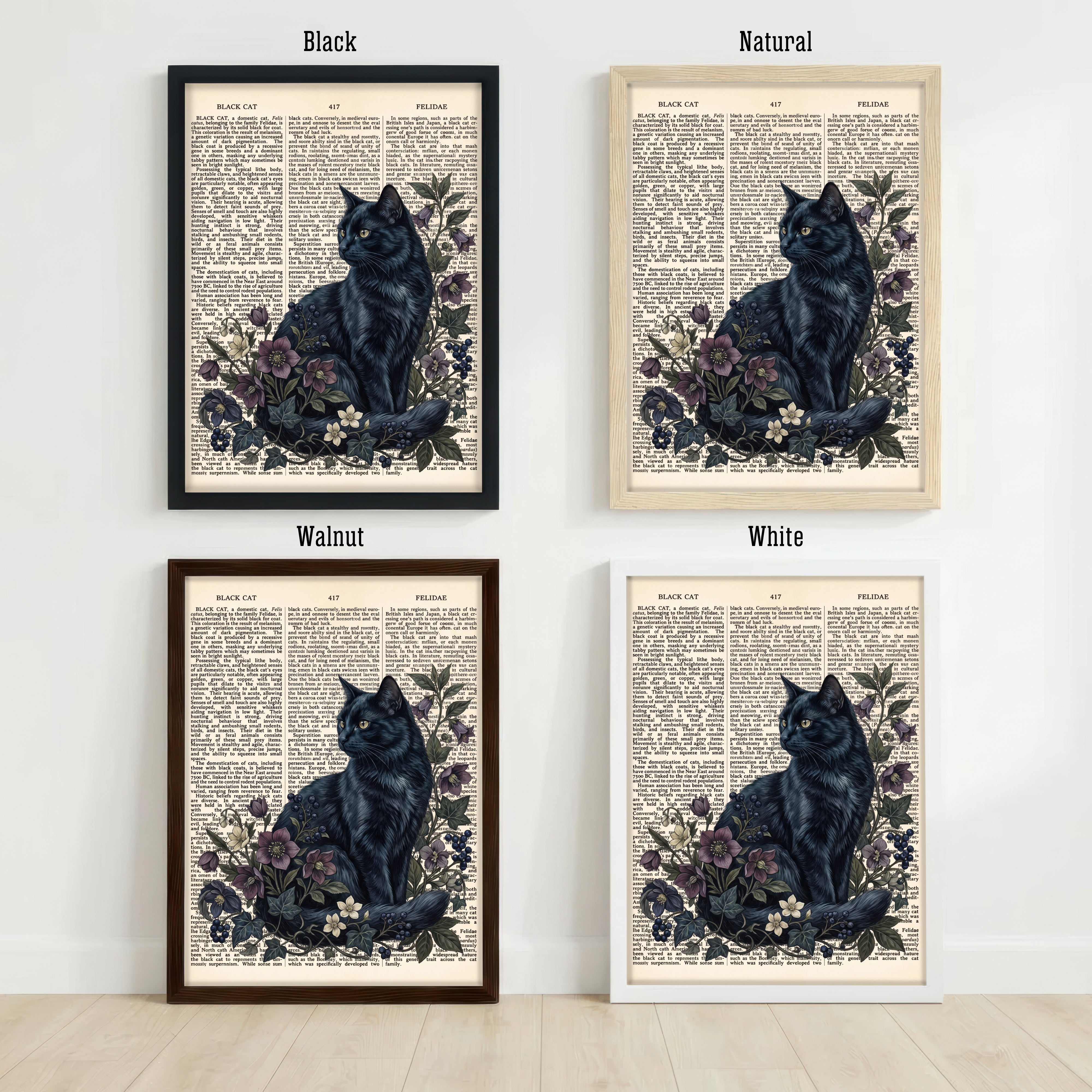 Vintage Black Cat Botanical Art Print