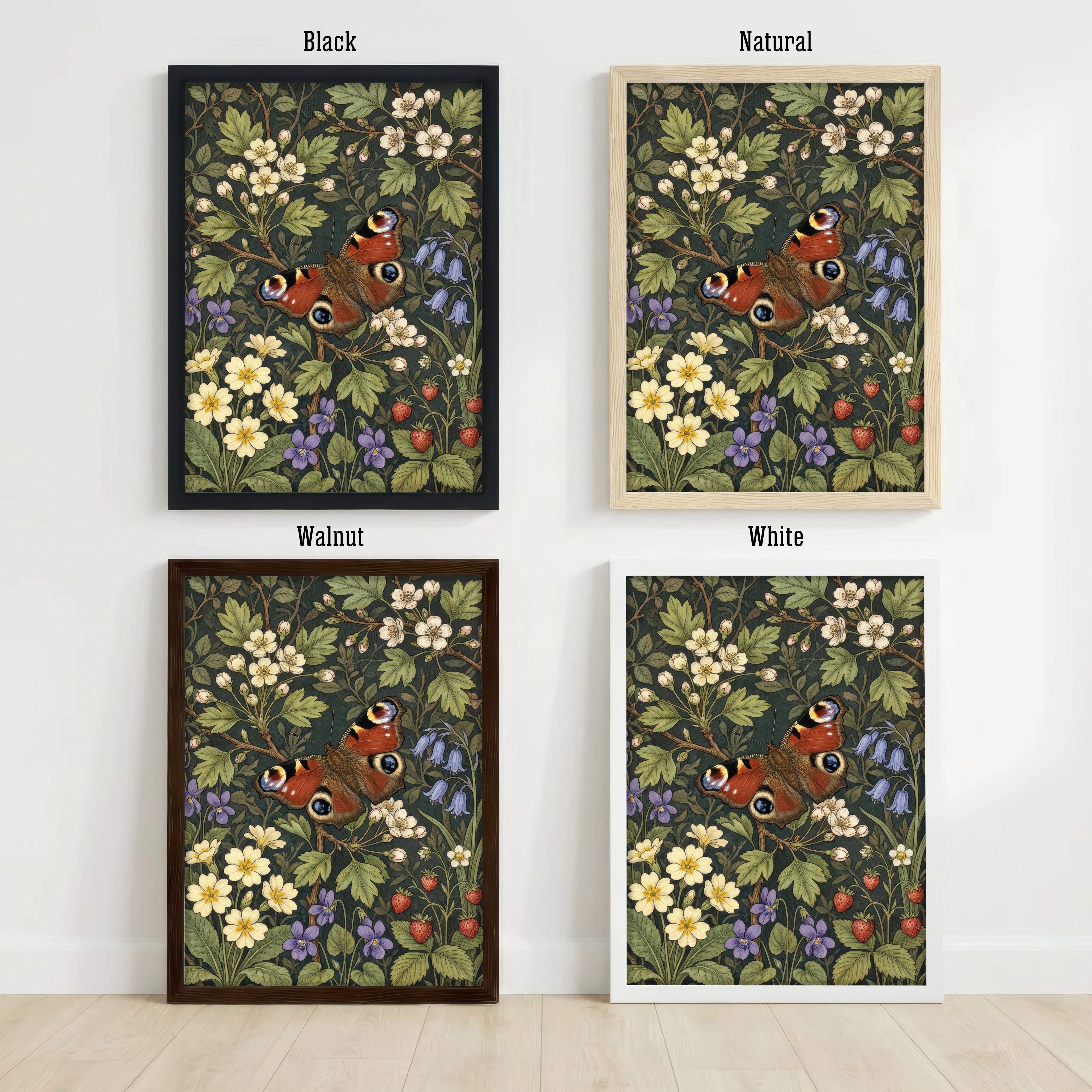 Peacock Butterfly Botanical Art Print