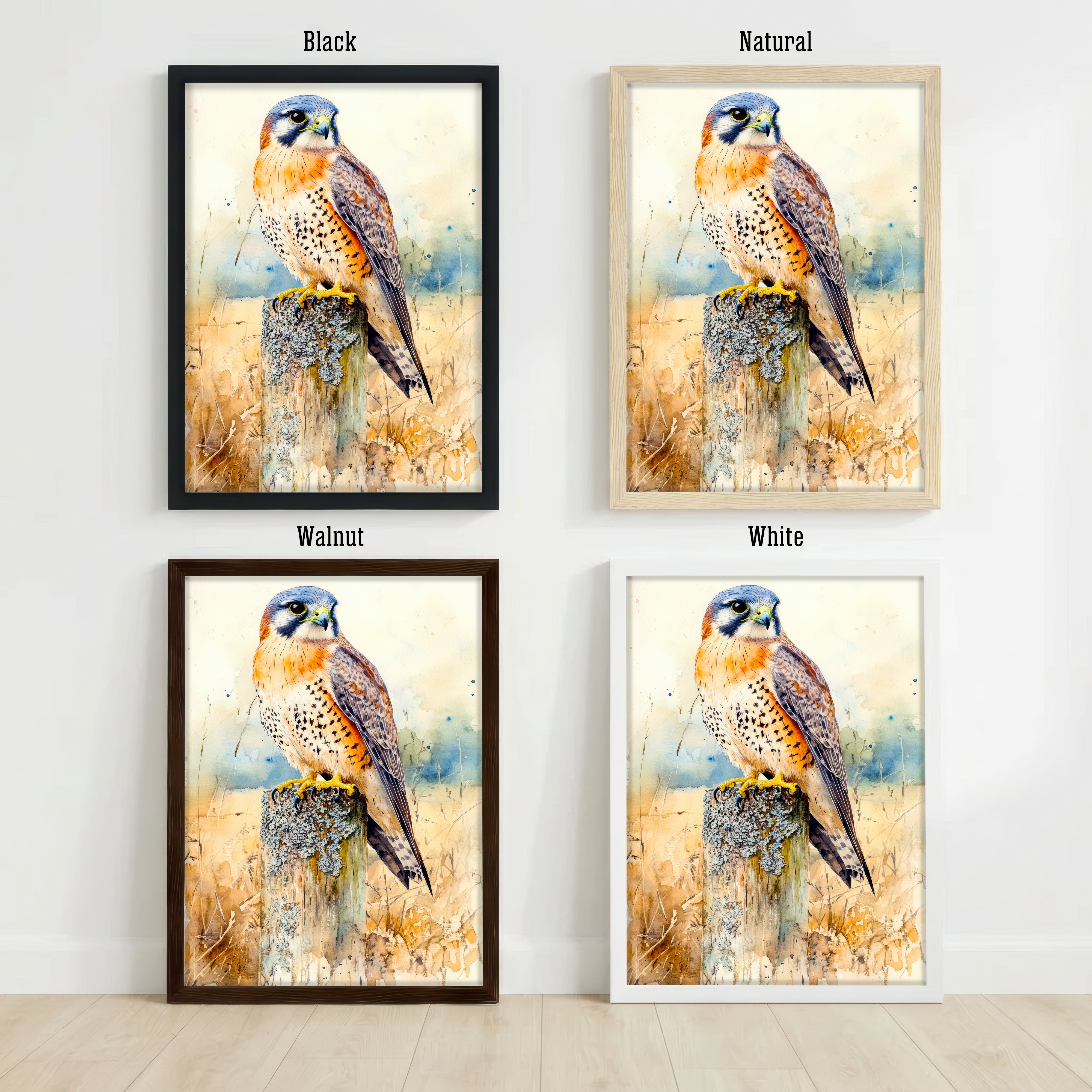 Kestrel Watercolour Art Print