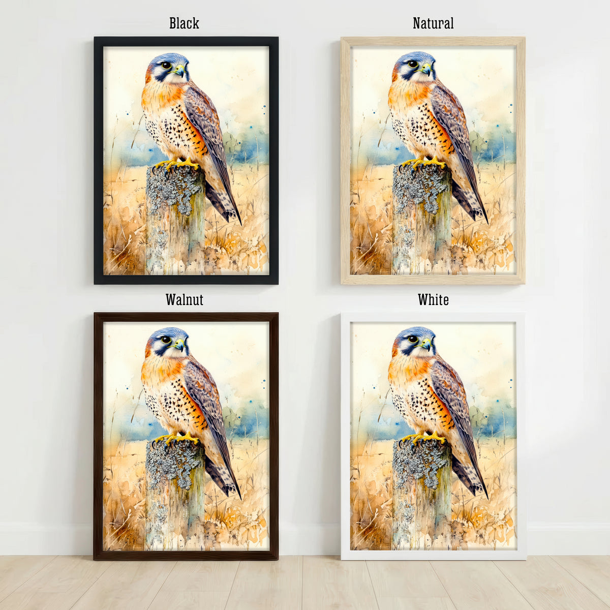 Kestrel Watercolour Art Print