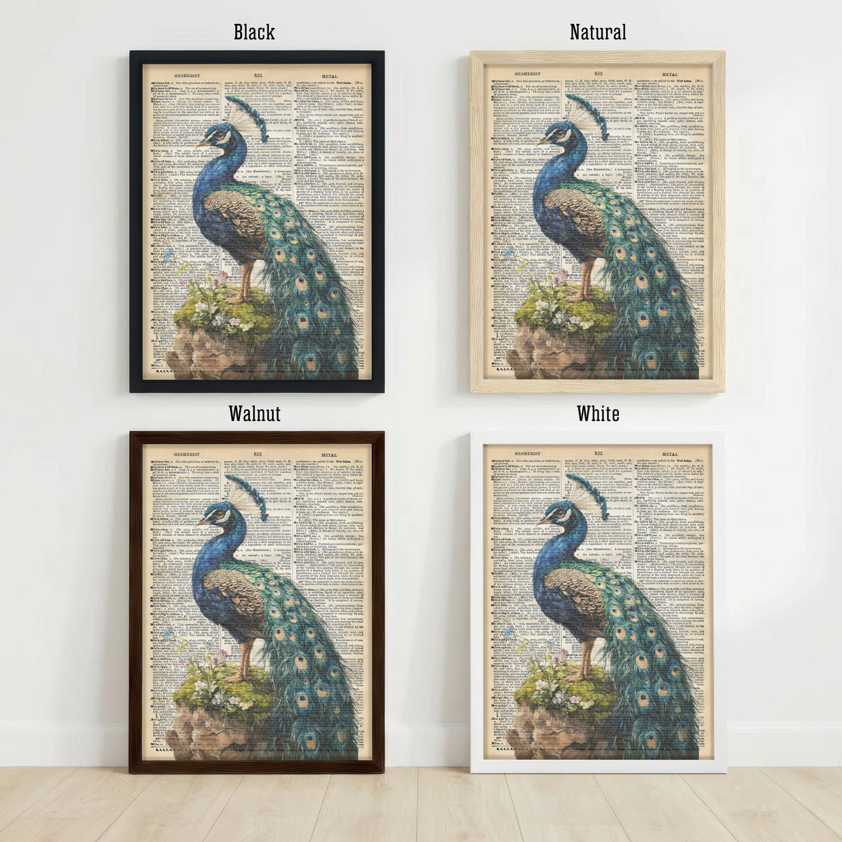 Vintage Peacock Dictionary Art Print