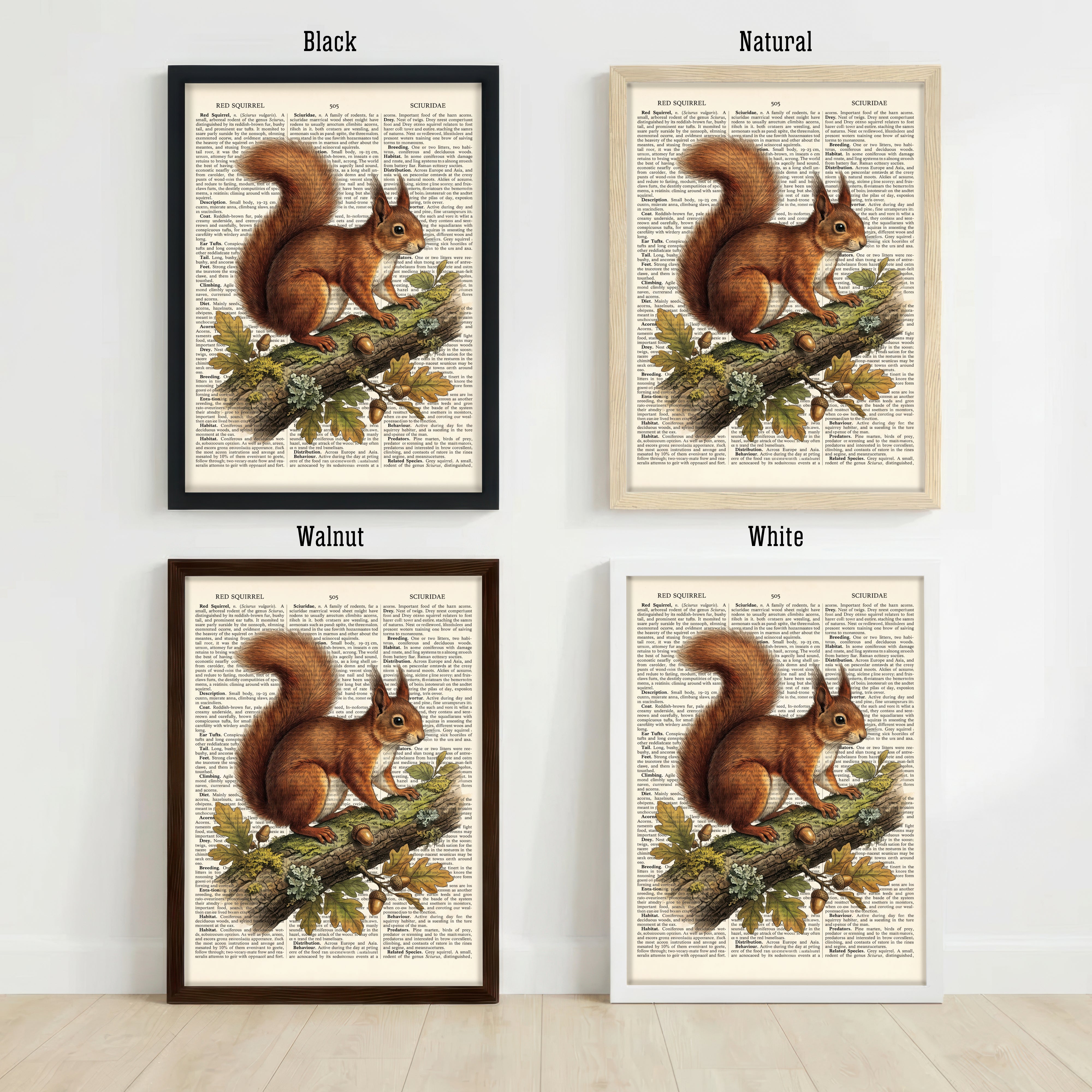 Red Squirrel Vintage Art Print