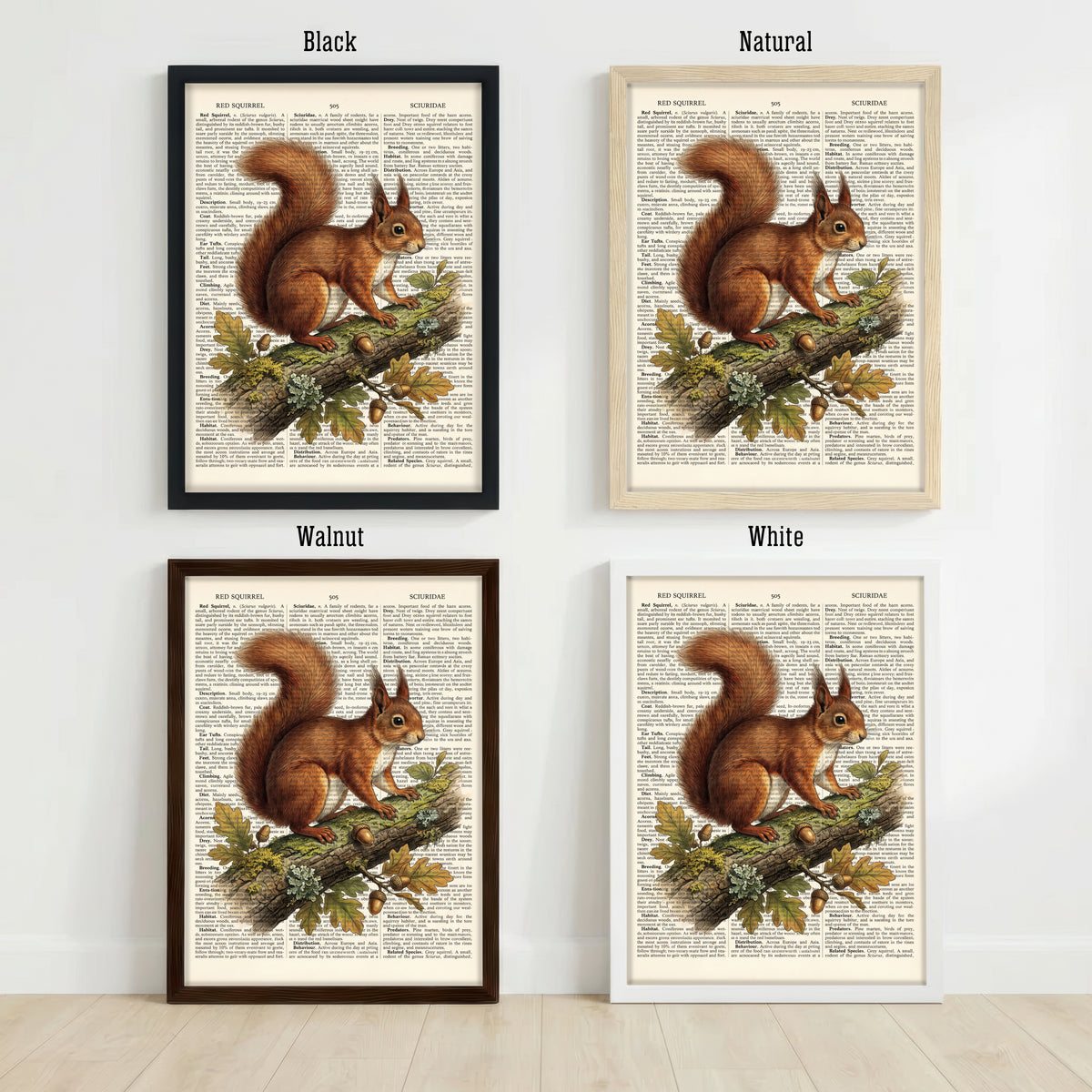 Red Squirrel Vintage Art Print