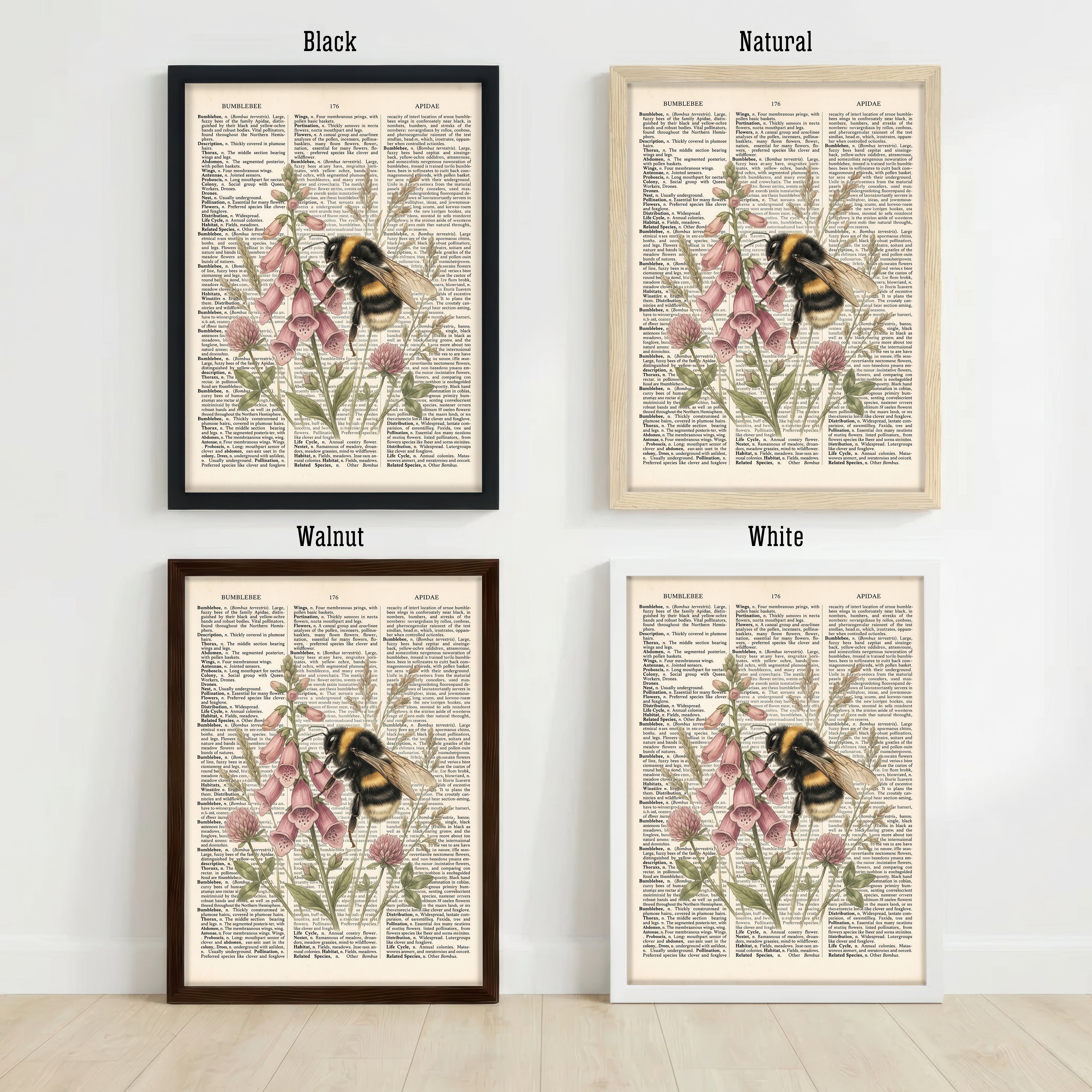 Bumblebee Botanical Art Print