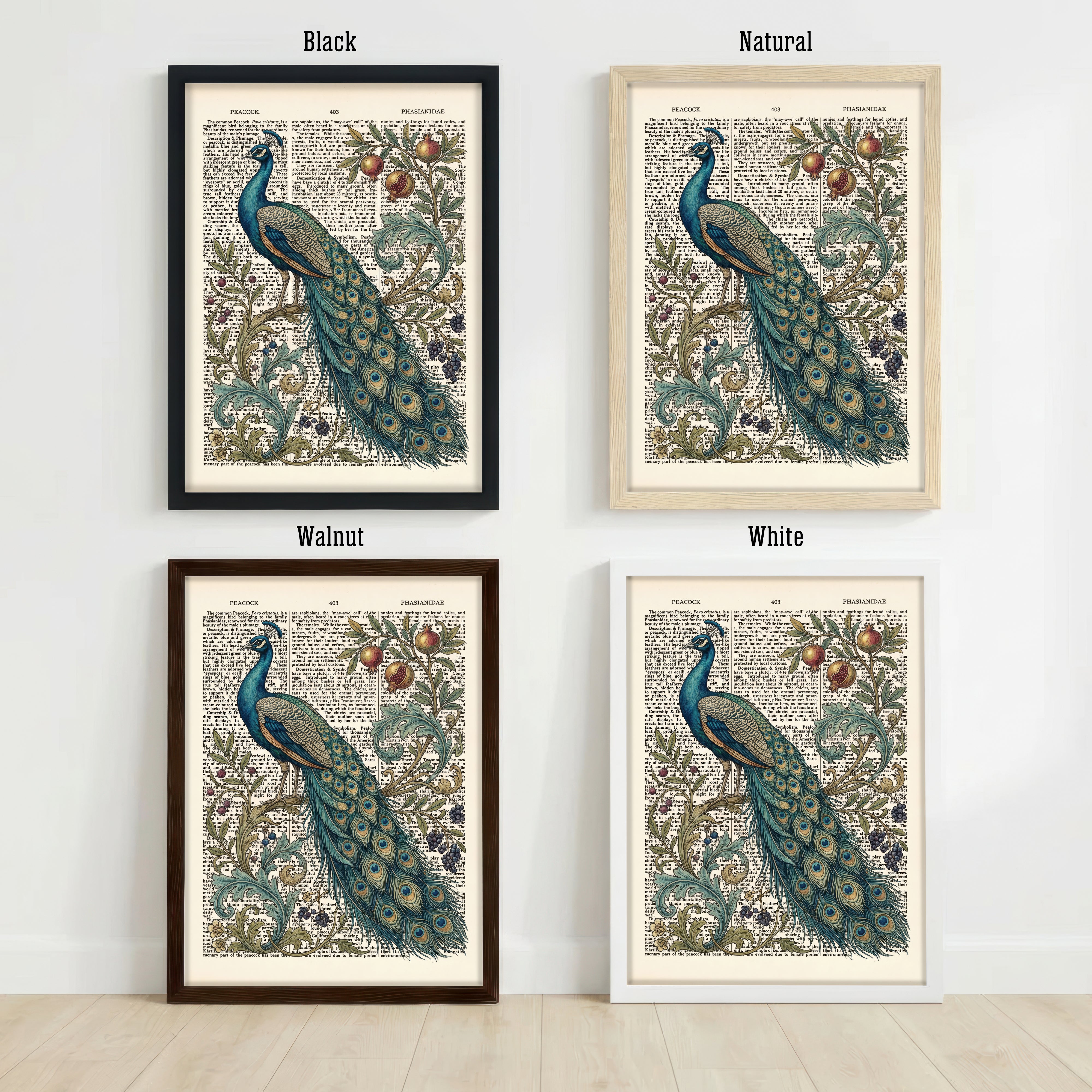 Vintage Peacock Botanical Art Print