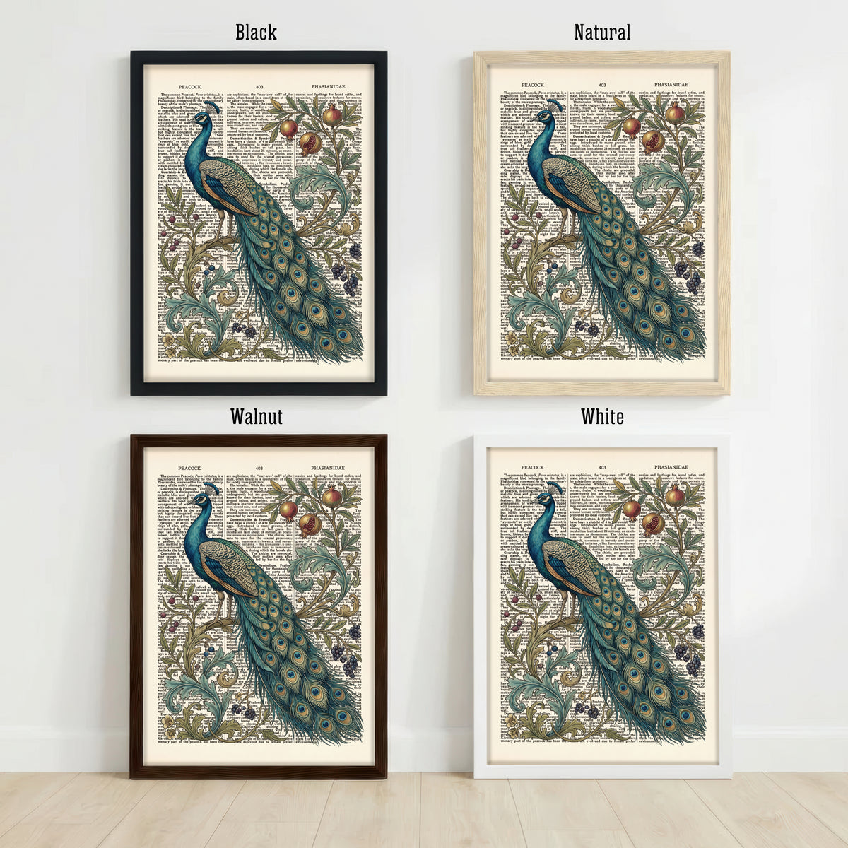 Vintage Peacock Botanical Art Print