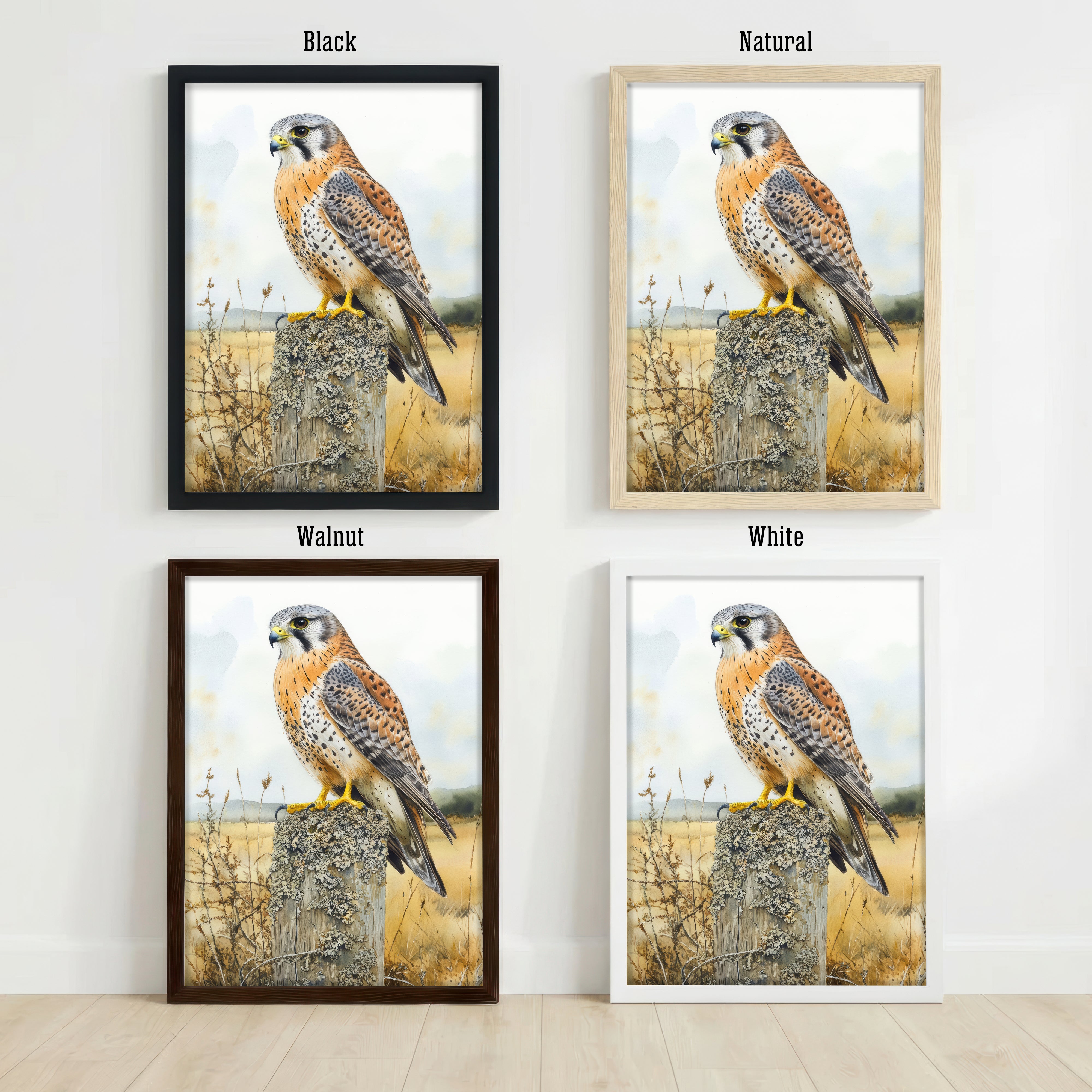Kestrel Wildlife Watercolour Art Print