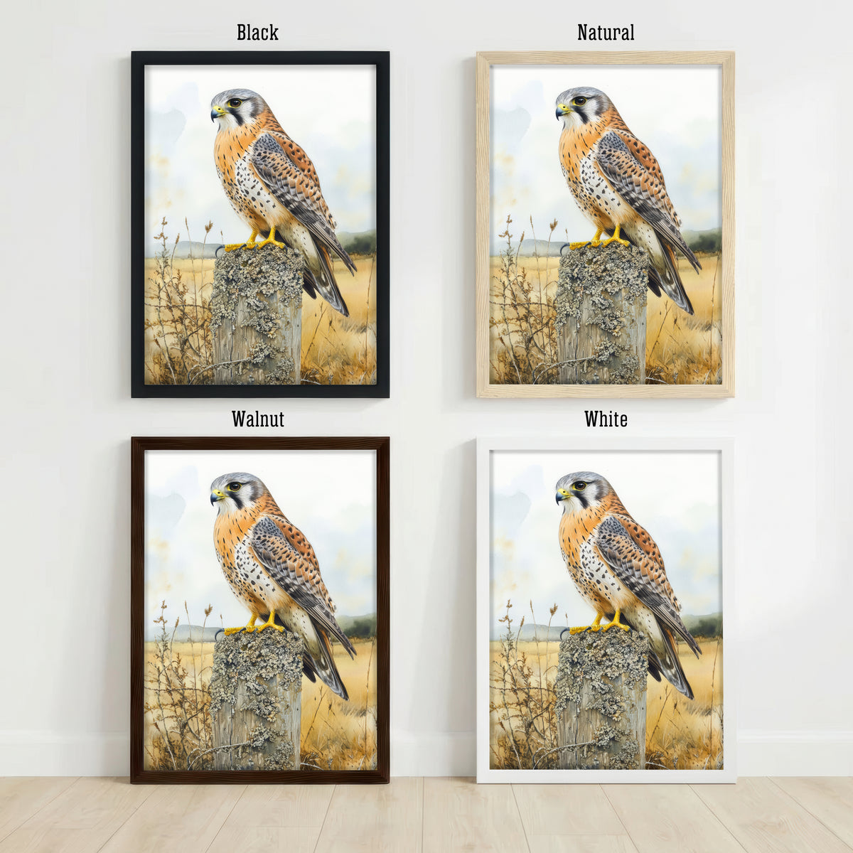 Kestrel Wildlife Watercolour Art Print