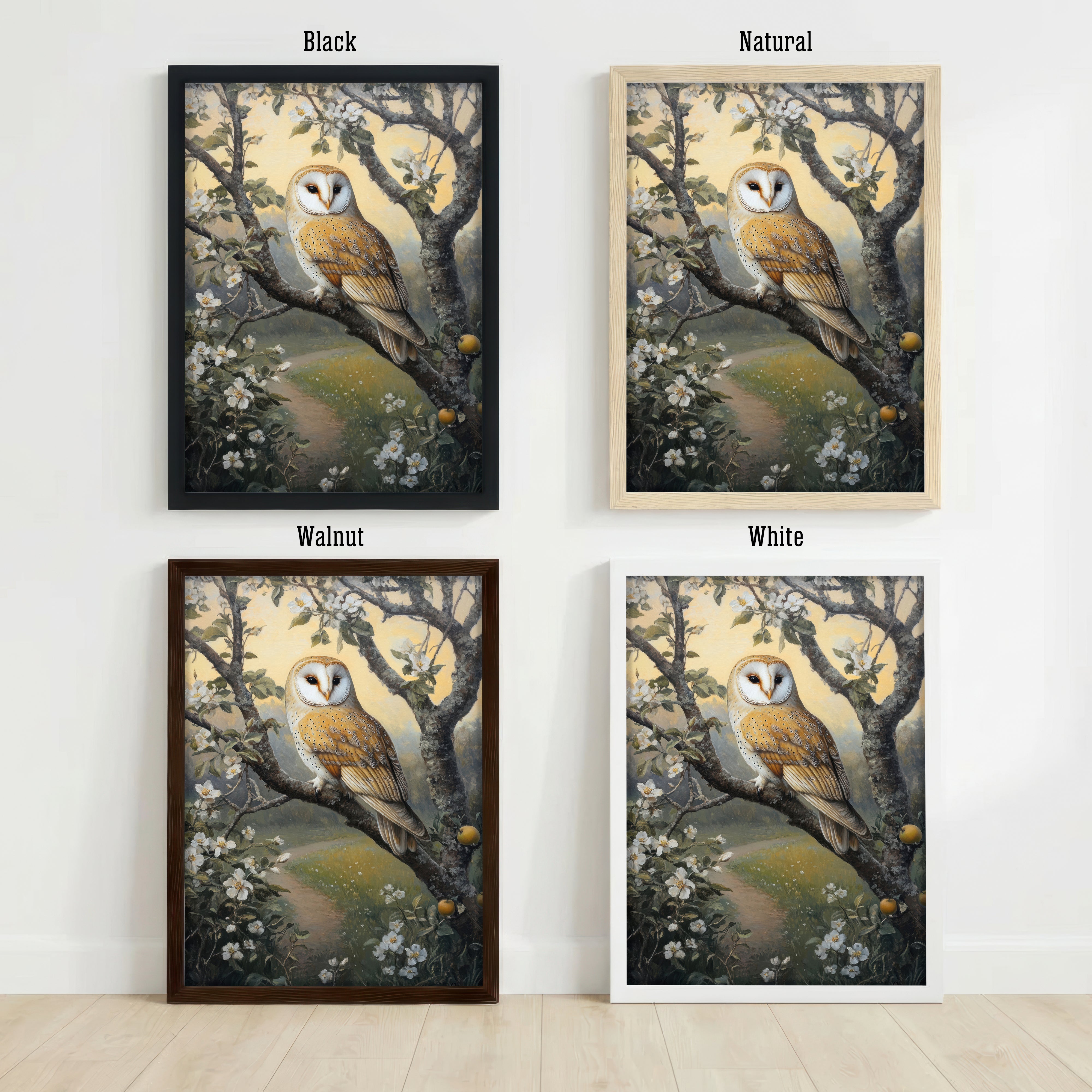 Barn Owl Blossom Art Print