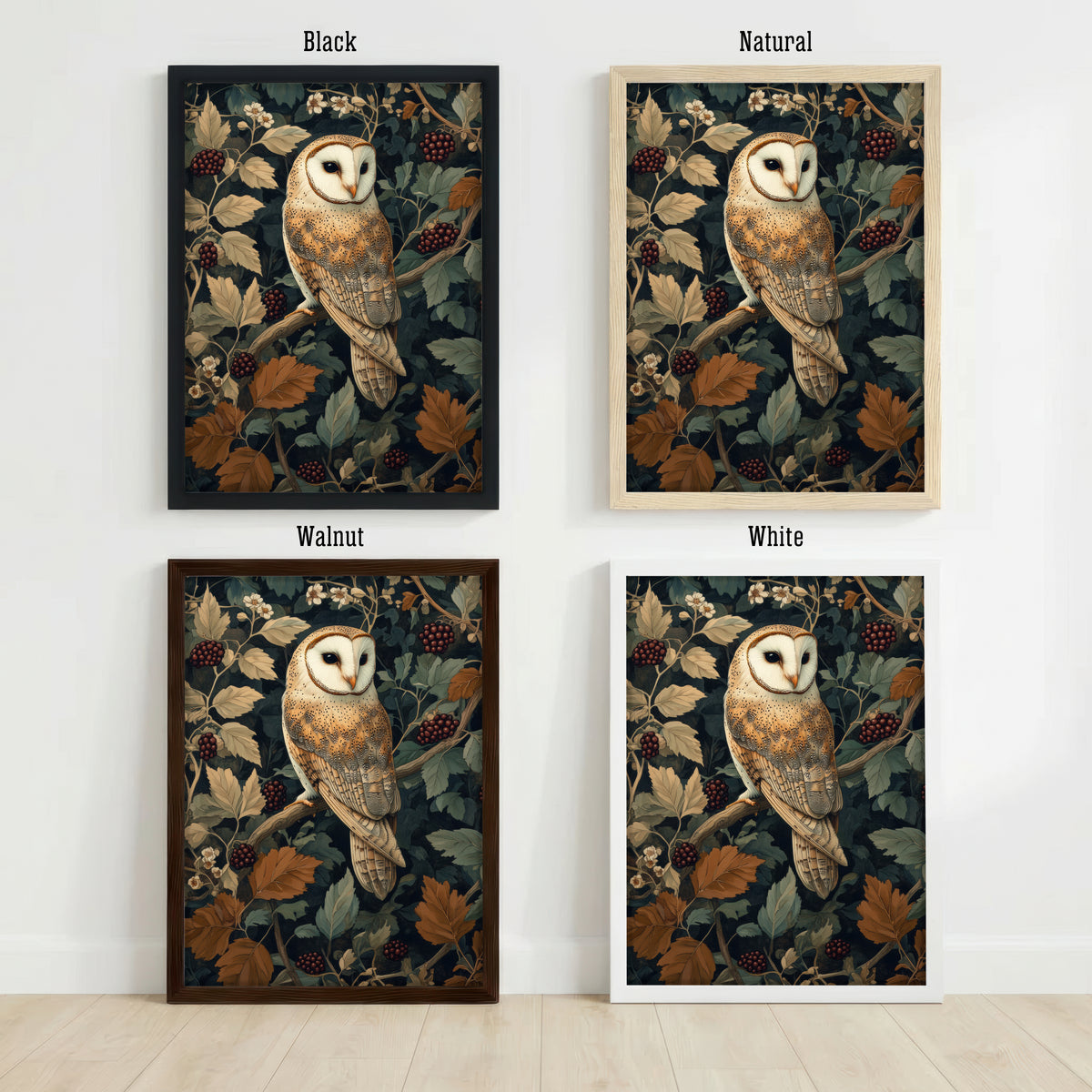 Barn Owl Botanical Art Print
