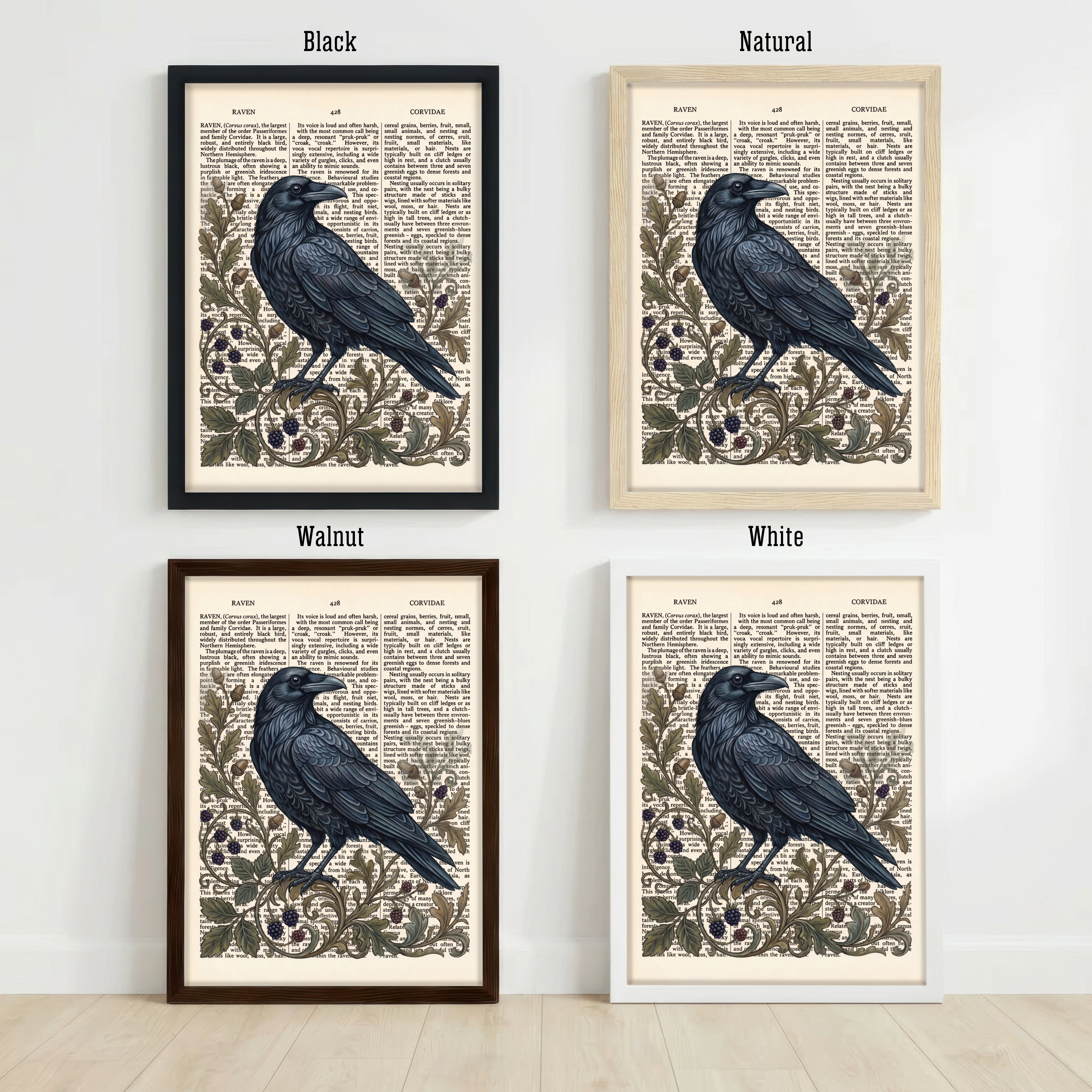 Vintage Raven Botanical Art Print