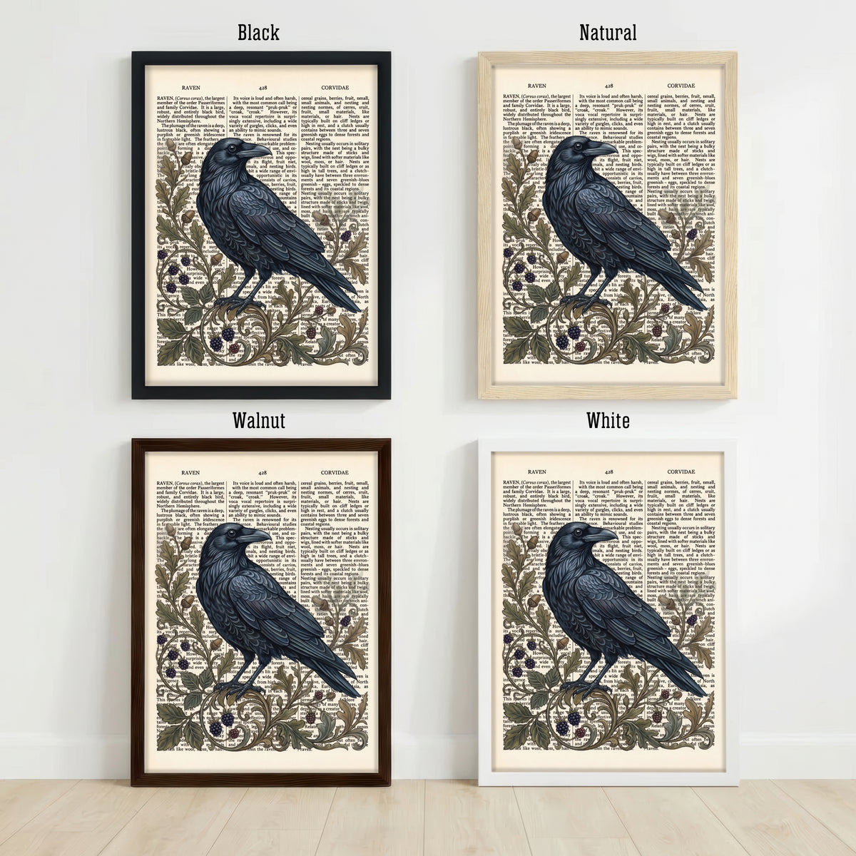 Vintage Raven Botanical Art Print