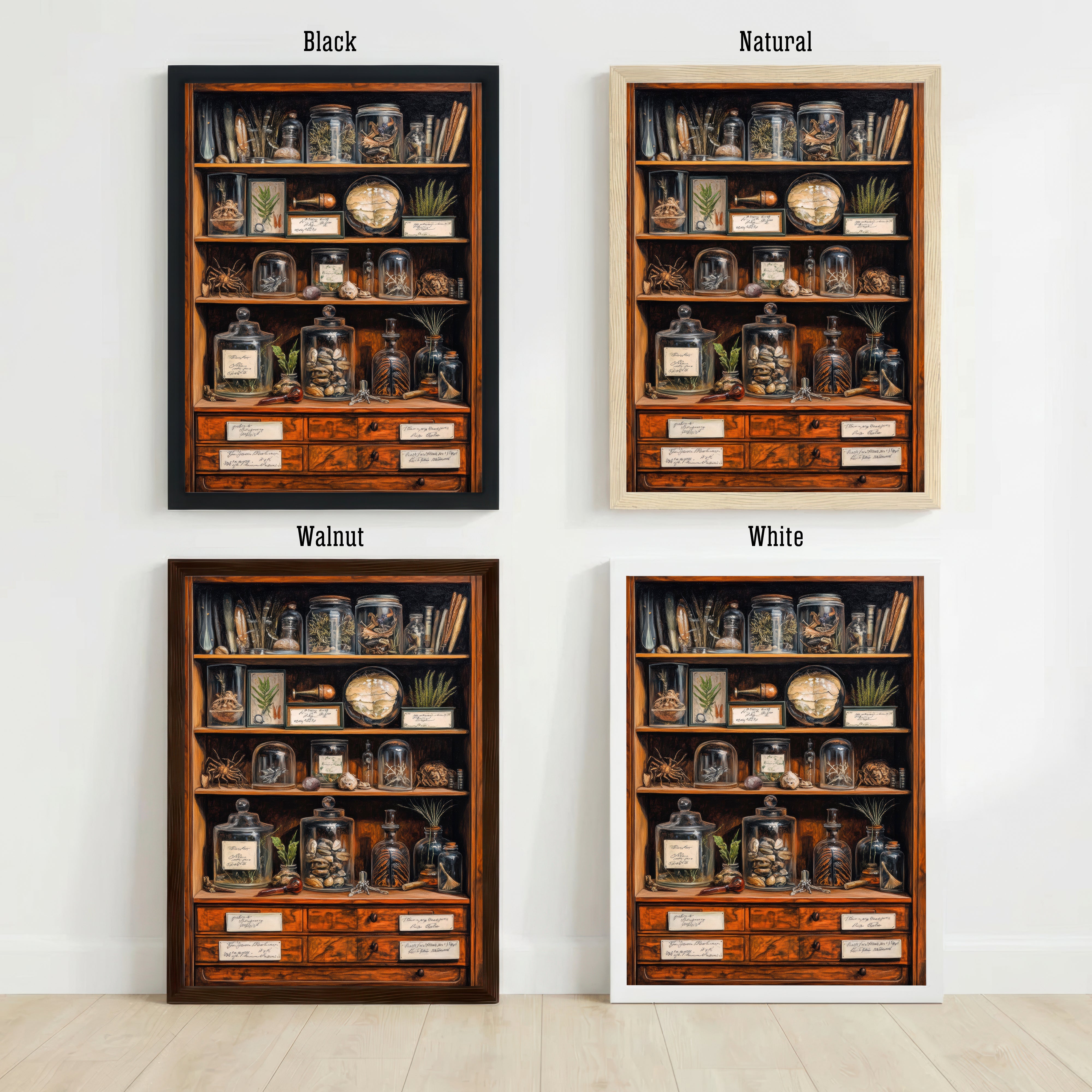 Cabinet of Curiosities Art Print