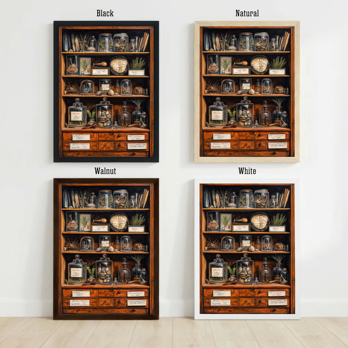 Cabinet of Curiosities Art Print