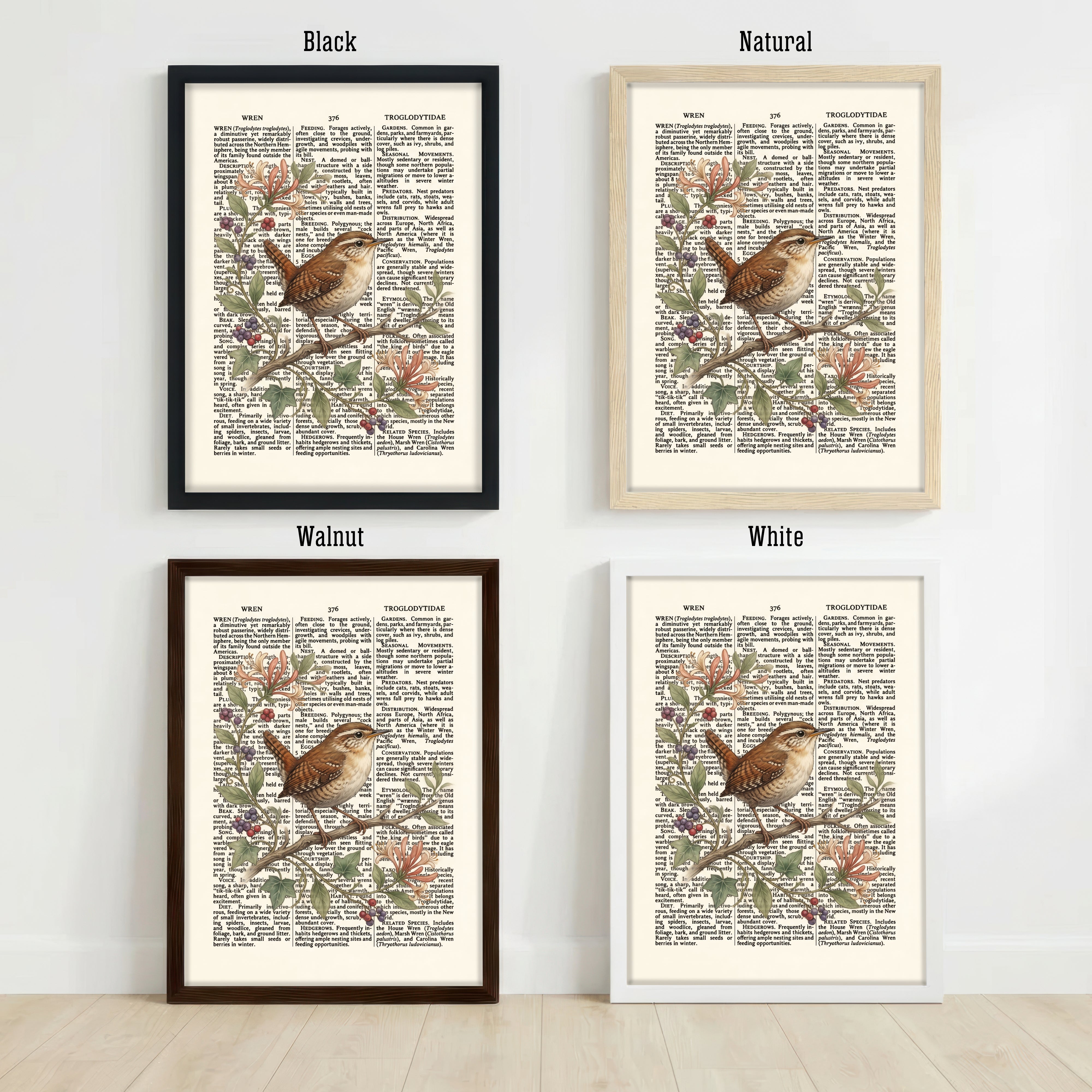 Vintage Wren Botanical Art Print