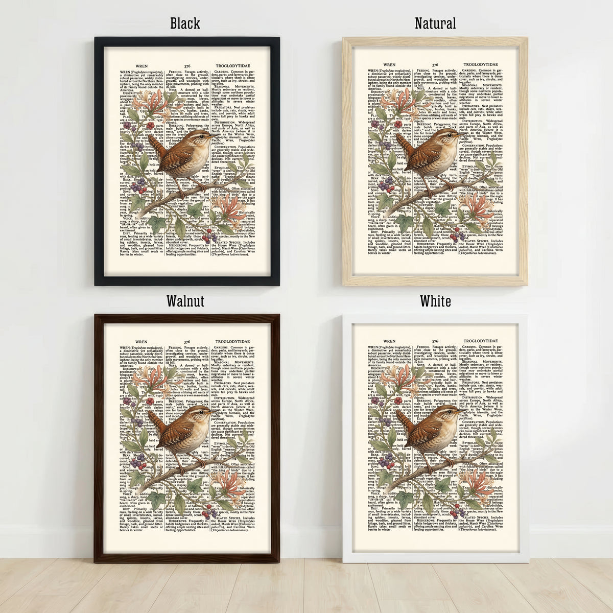 Vintage Wren Botanical Art Print