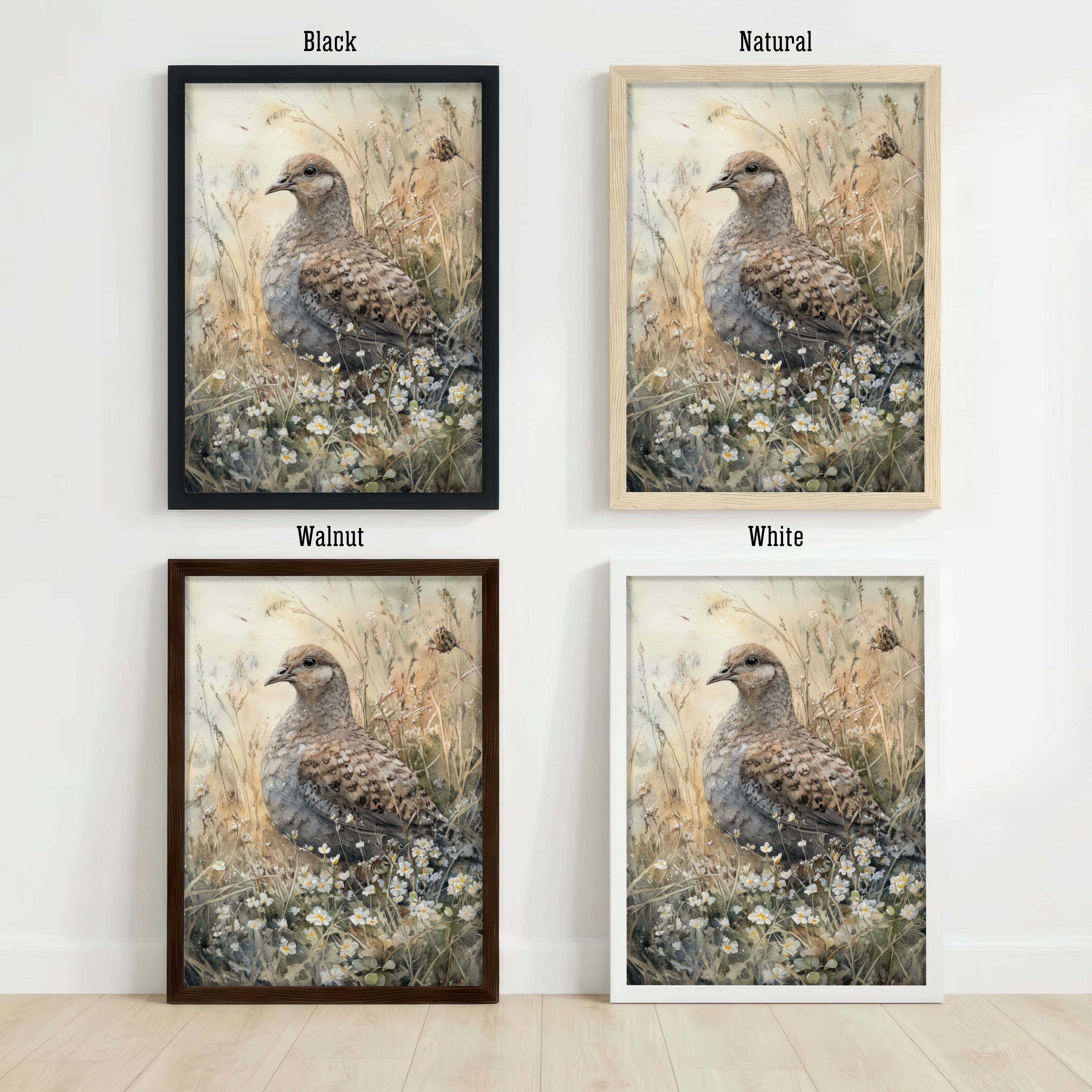 Partridge Wildflower Watercolour Art Print