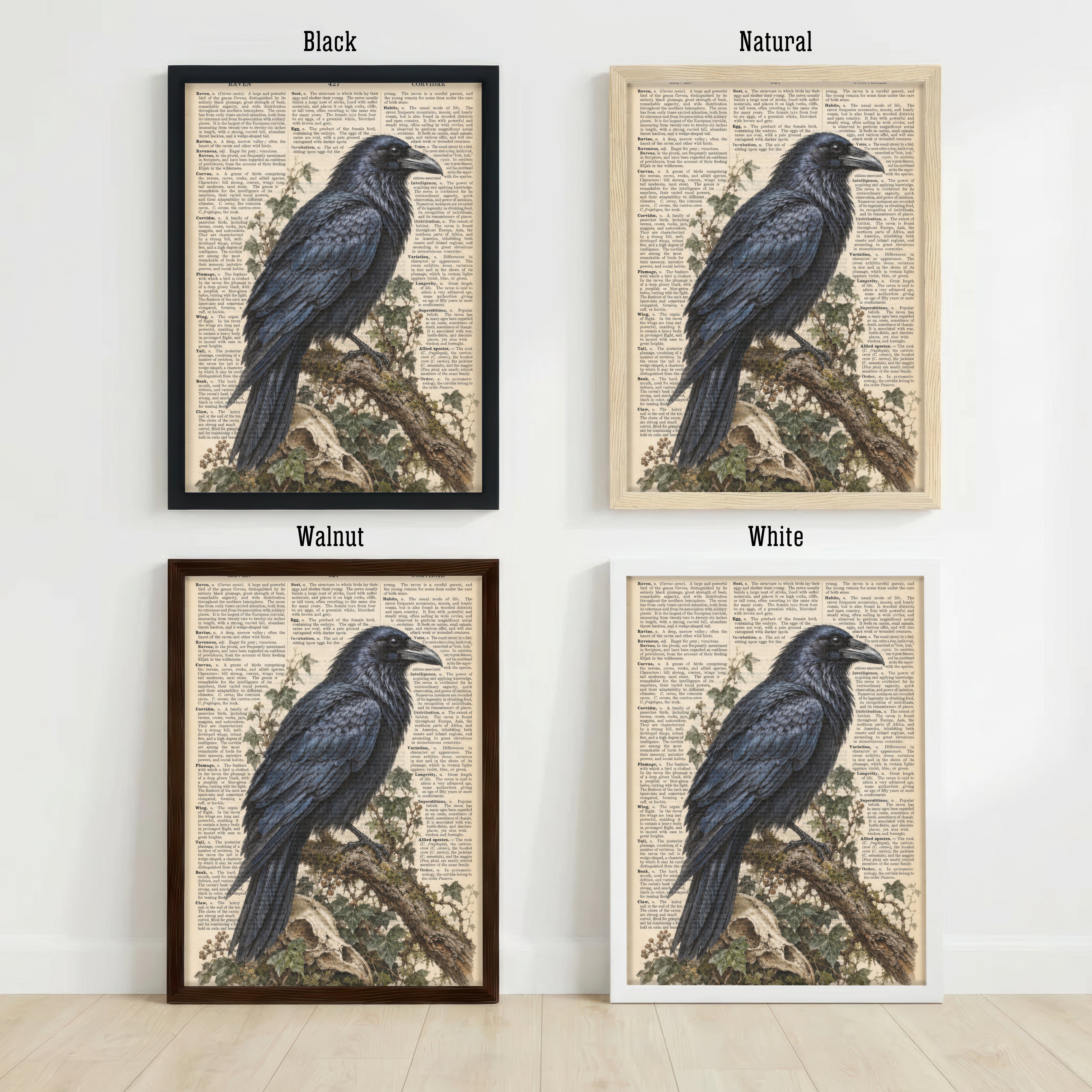 Vintage Raven Dictionary Art Print