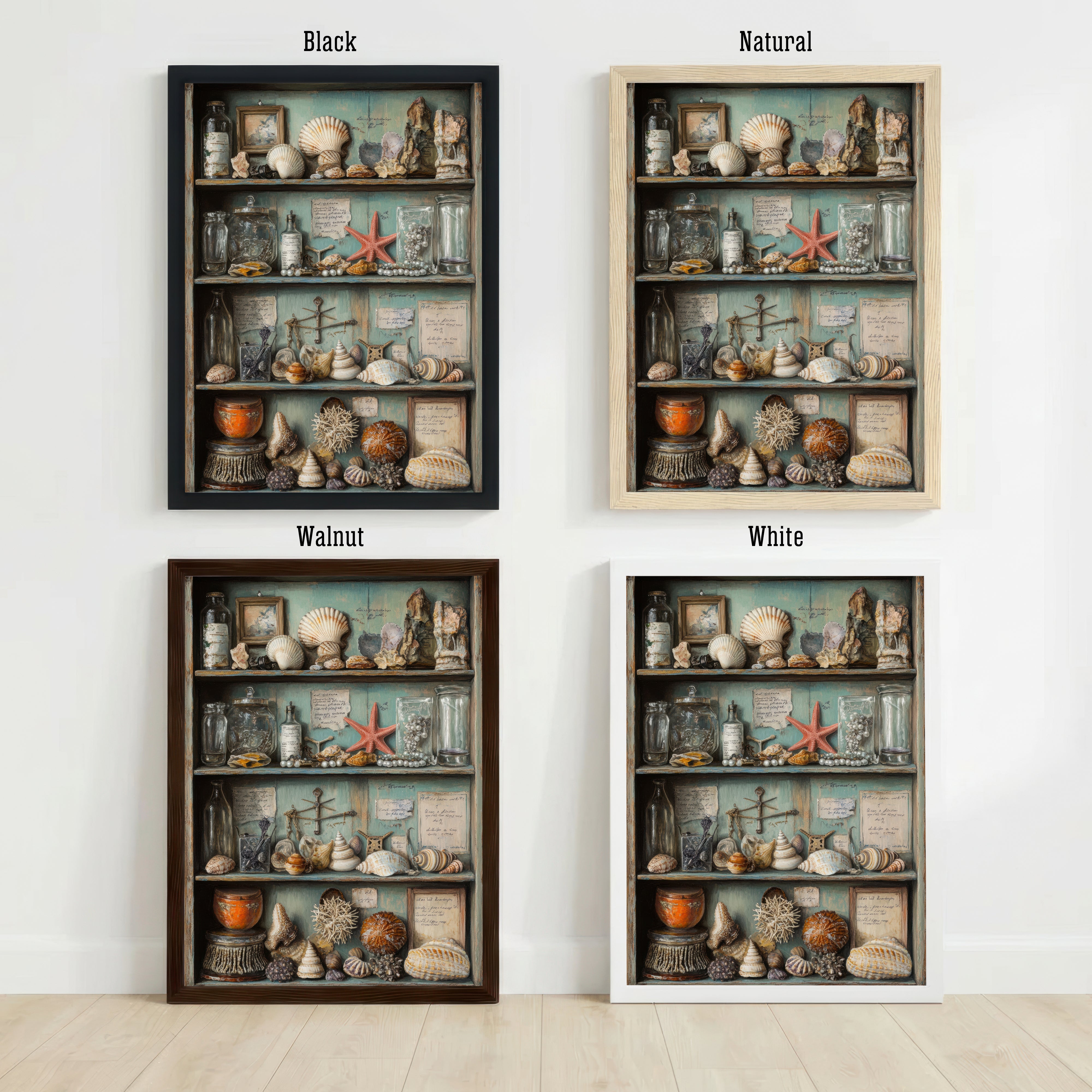 Seashell Cabinet Still Life Art Print