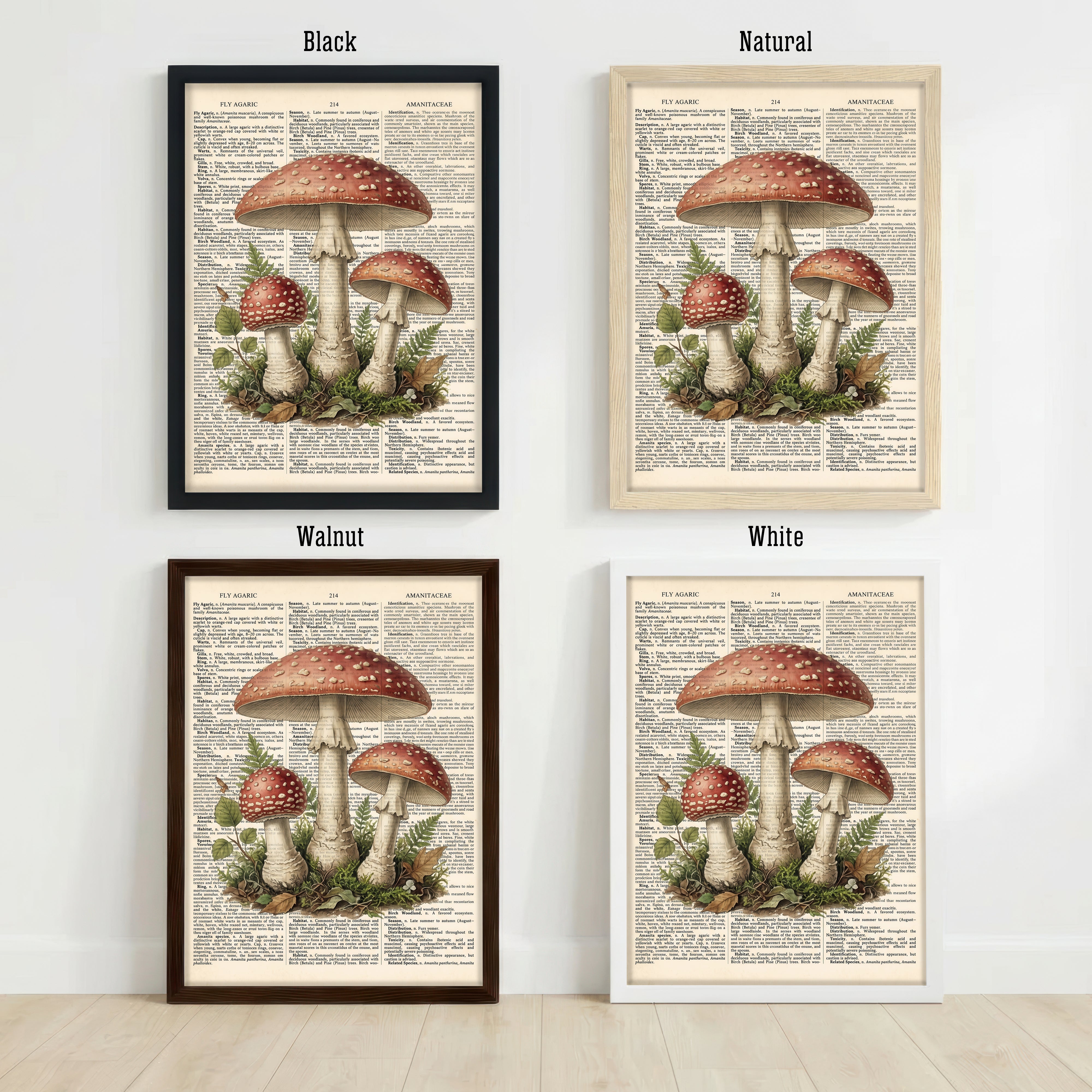 Fly Agaric Mushroom Art Print