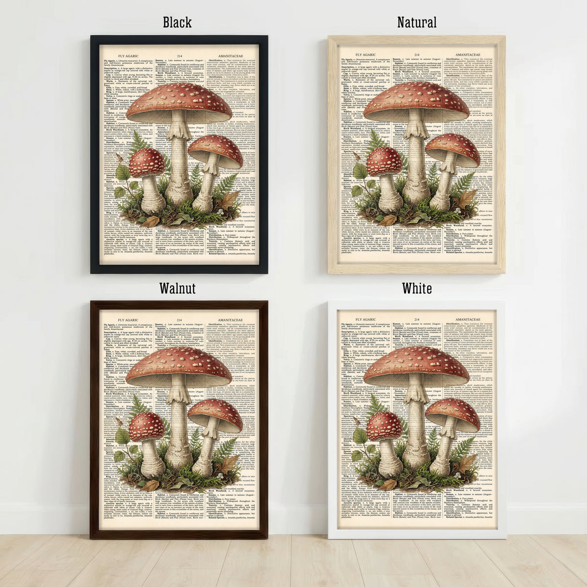 Fly Agaric Mushroom Art Print