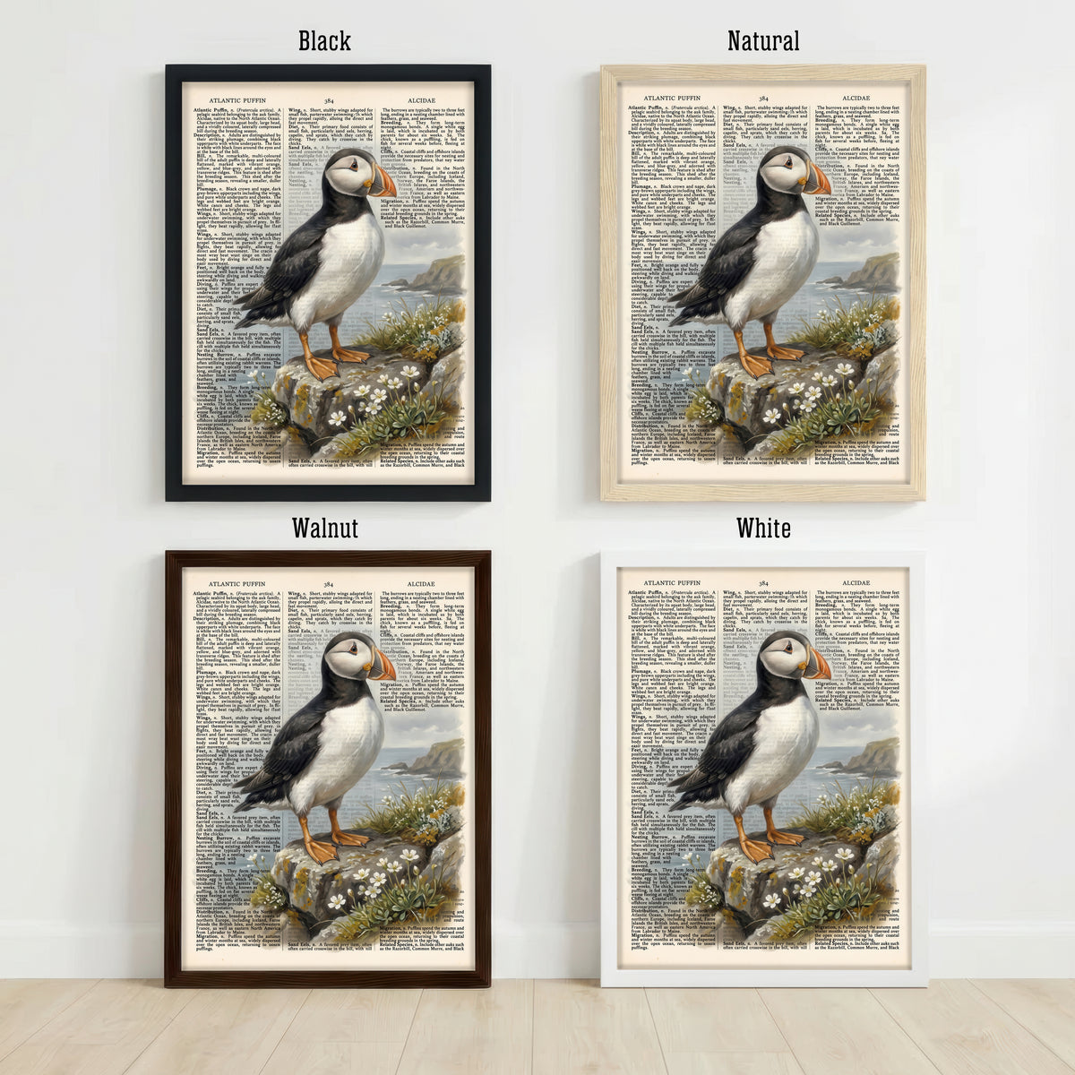 Atlantic Puffin Vintage Book Art Print