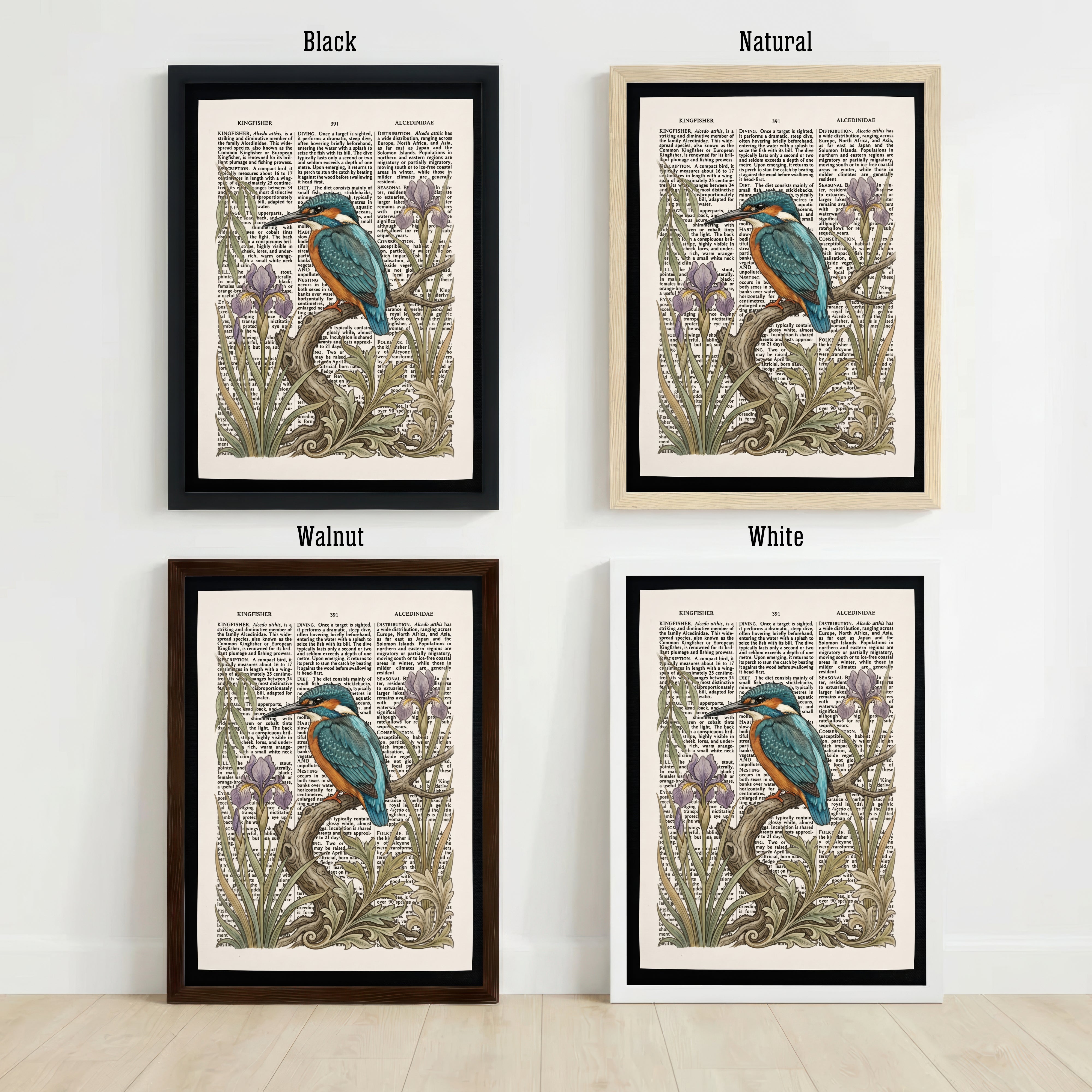 Kingfisher and Iris Botanical Art Print