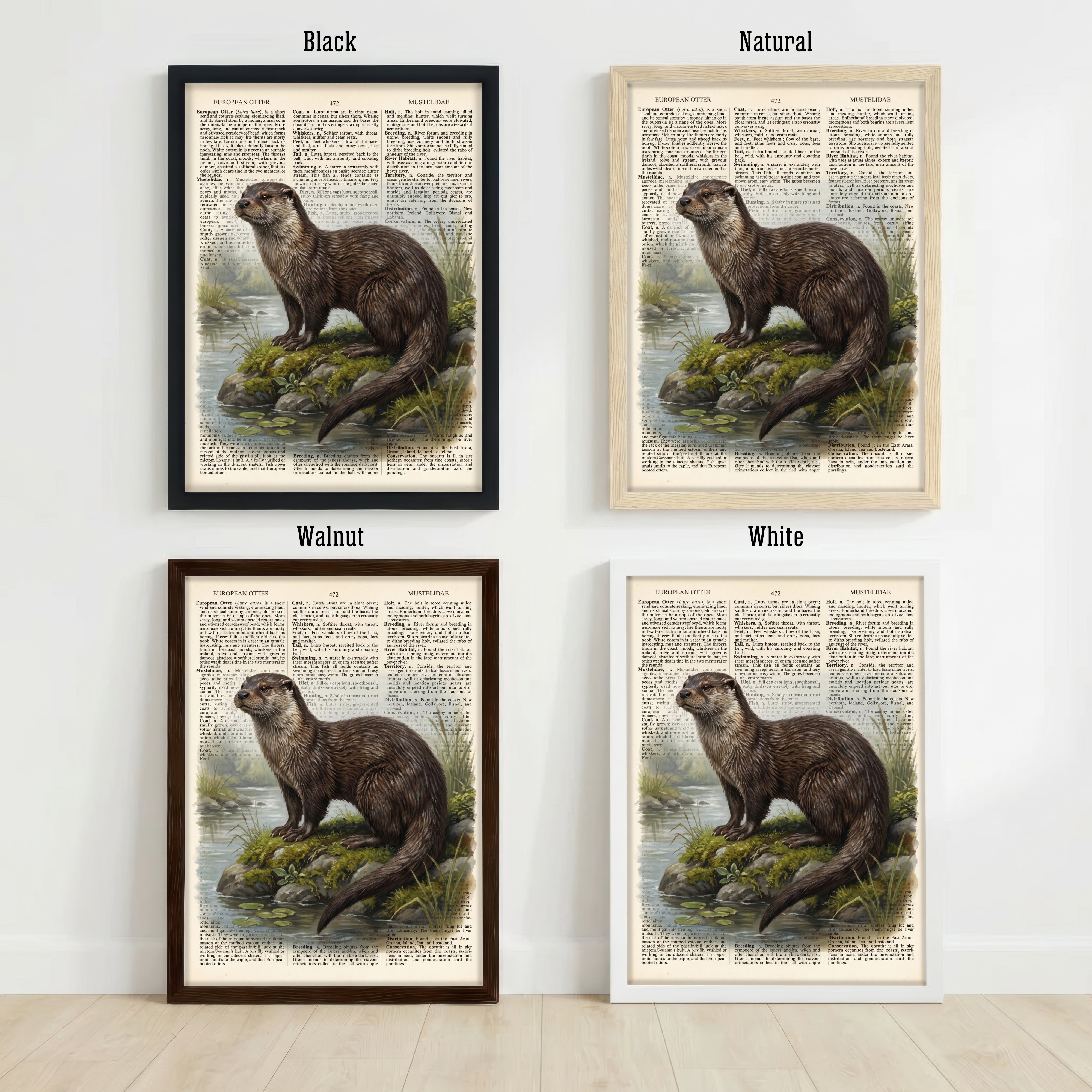 European Otter Vintage Art Print