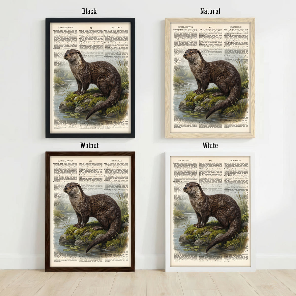 European Otter Vintage Art Print
