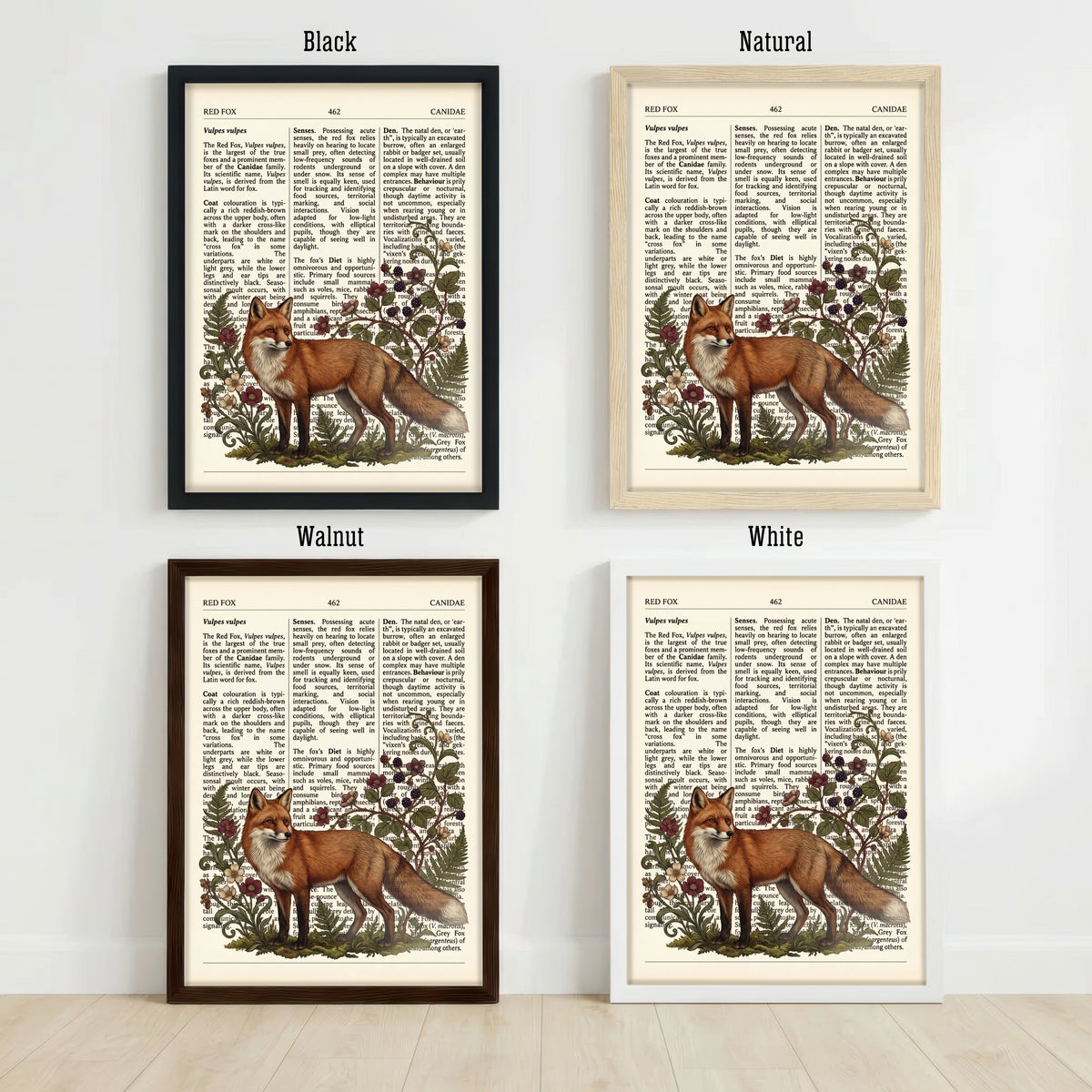 Red Fox Botanical Art Print