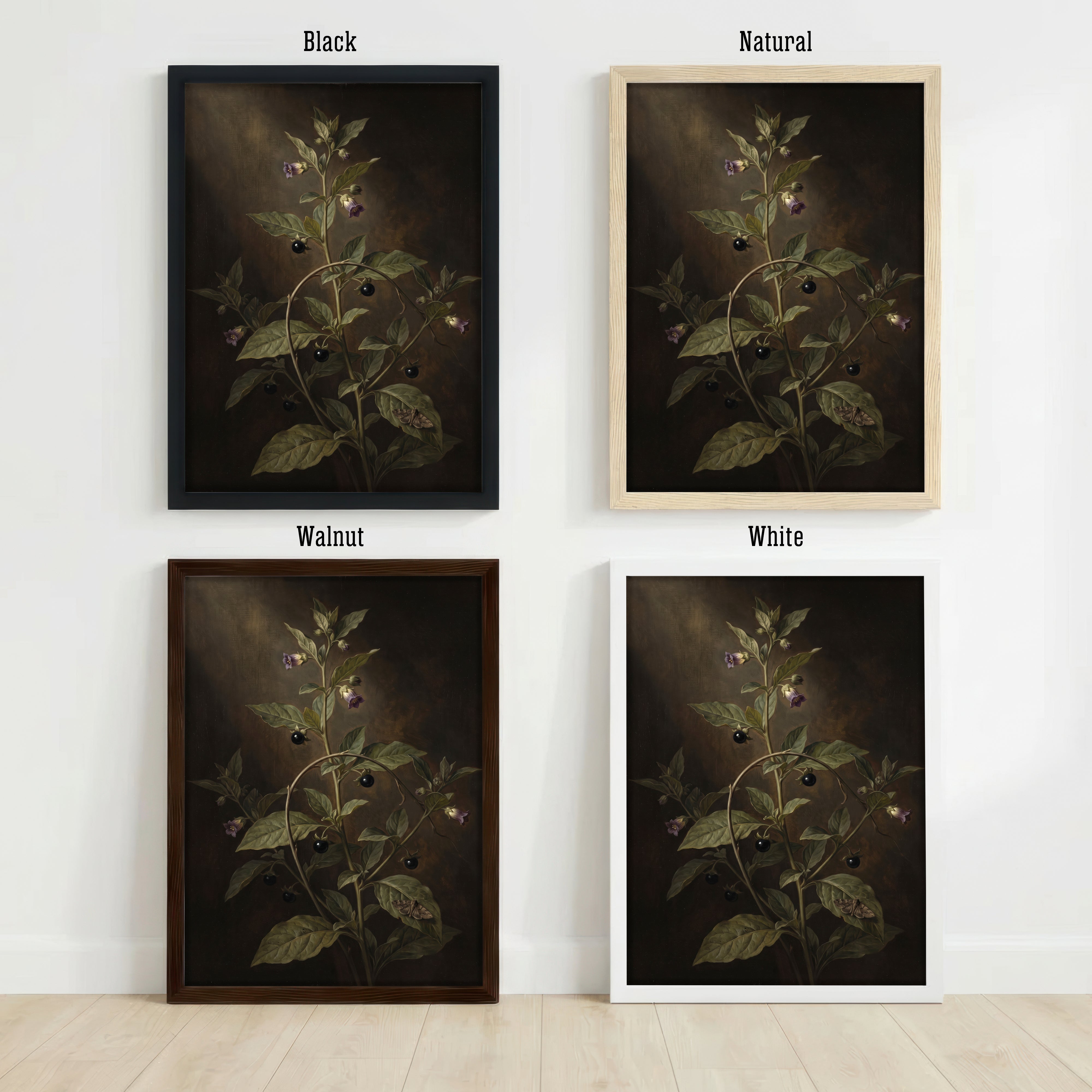 Deadly Nightshade Botanical Art Print