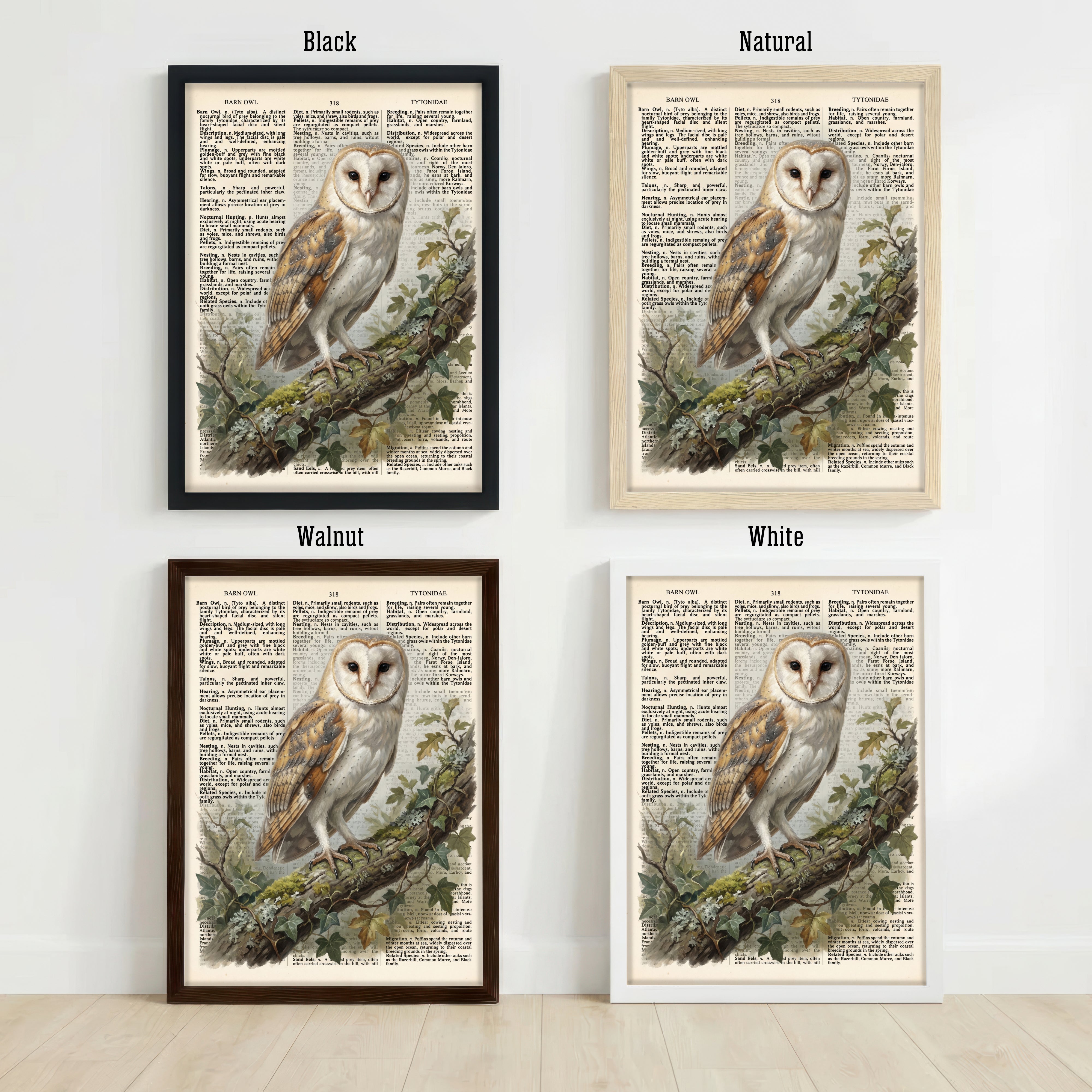 Barn Owl Vintage Botanical Art Print