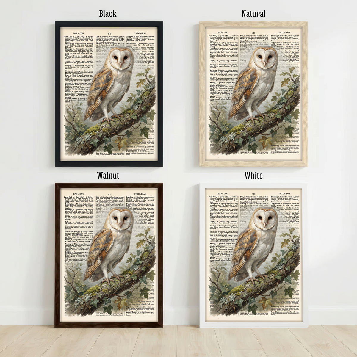 Barn Owl Vintage Botanical Art Print