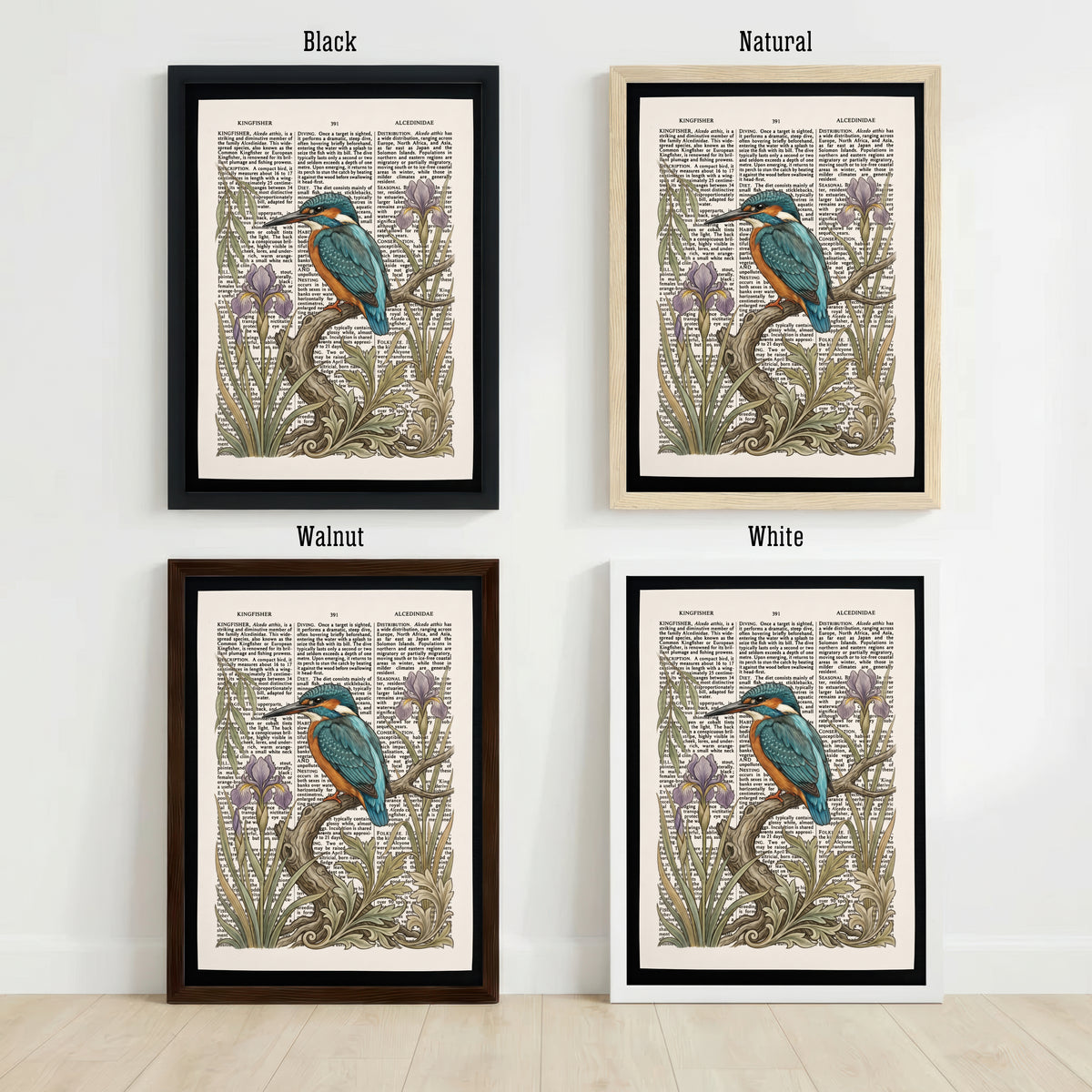 Kingfisher and Iris Vintage Art Print