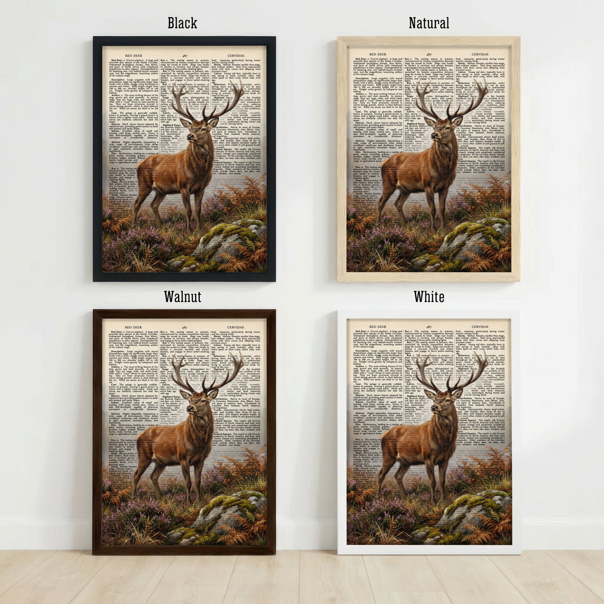 Red Deer Vintage Natural History Art Print